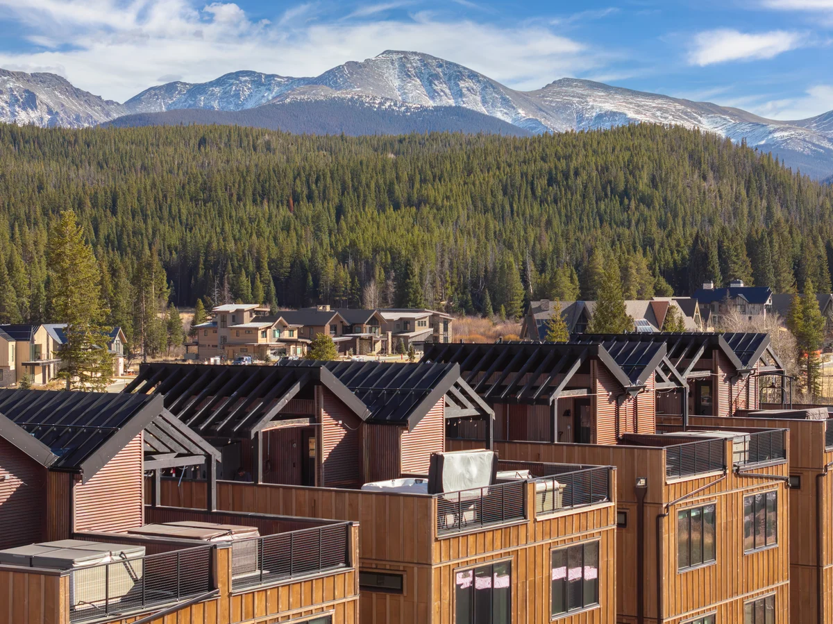 Wander Winter Park Hollow #1