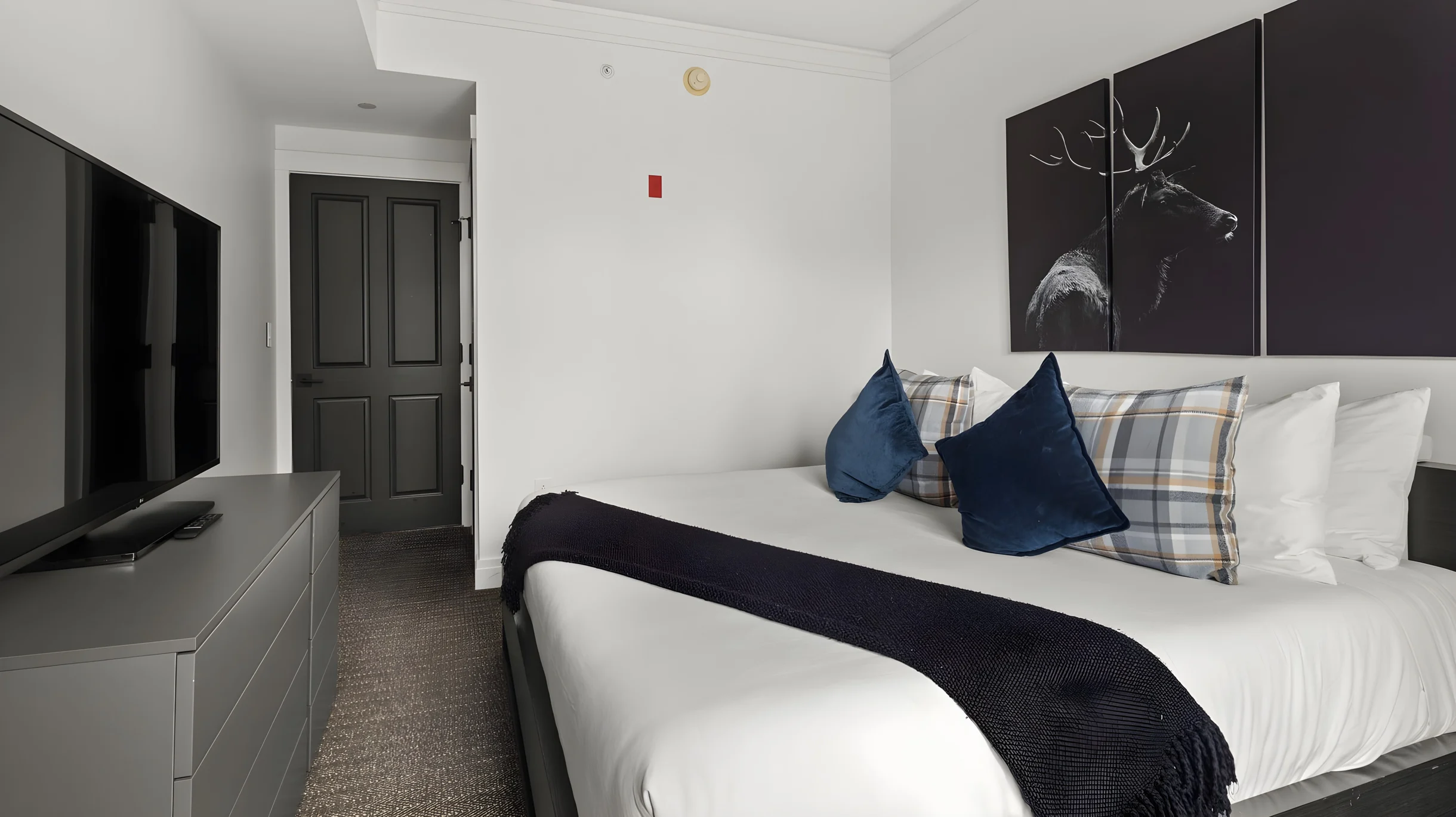 351C | 3bdrm | *TYRO #13