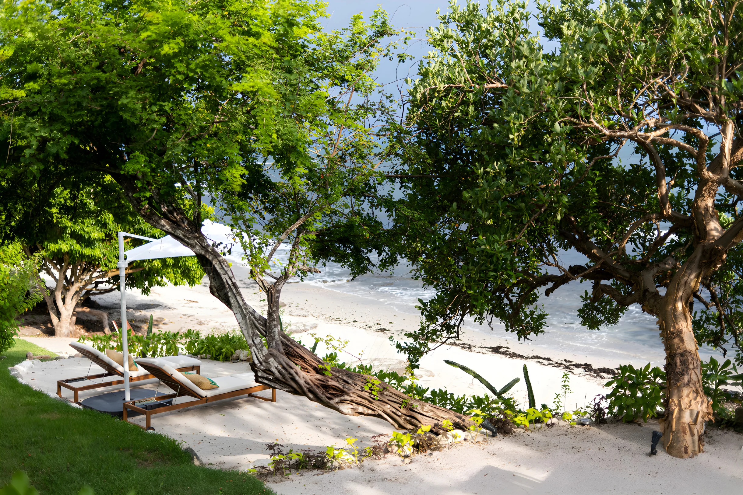 Wander Punta Mita Anclote #39