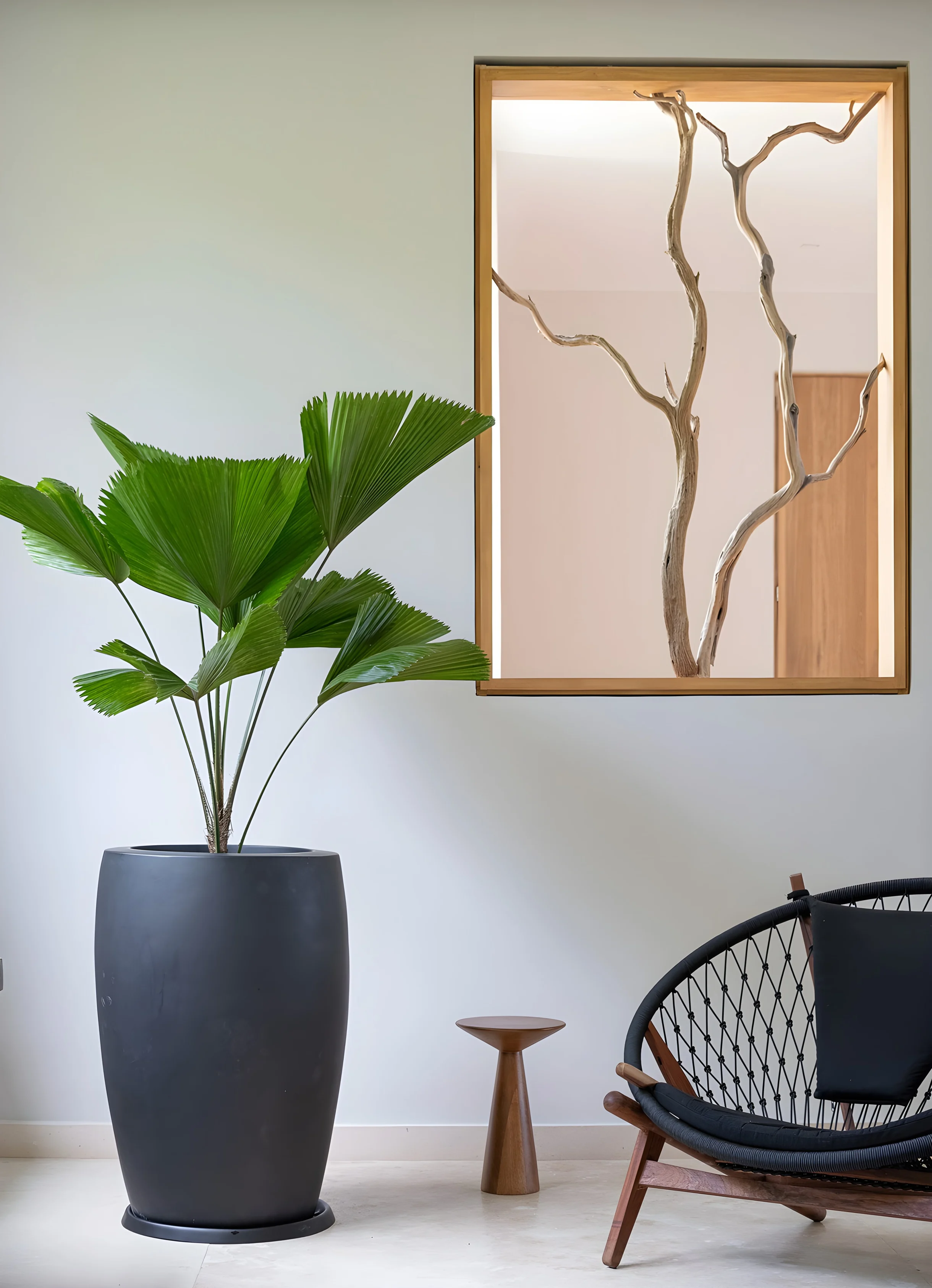 Wander Punta Mita Anclote #46