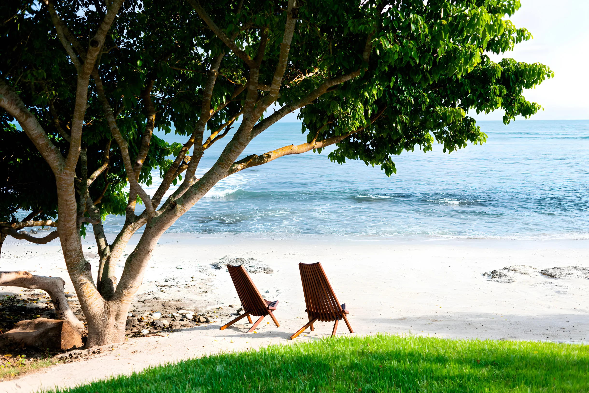 Wander Punta Mita Anclote #62