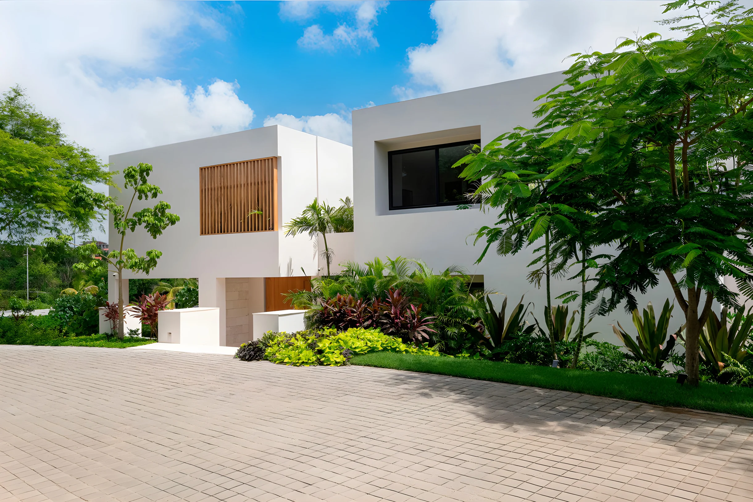 Wander Punta Mita Anclote #67