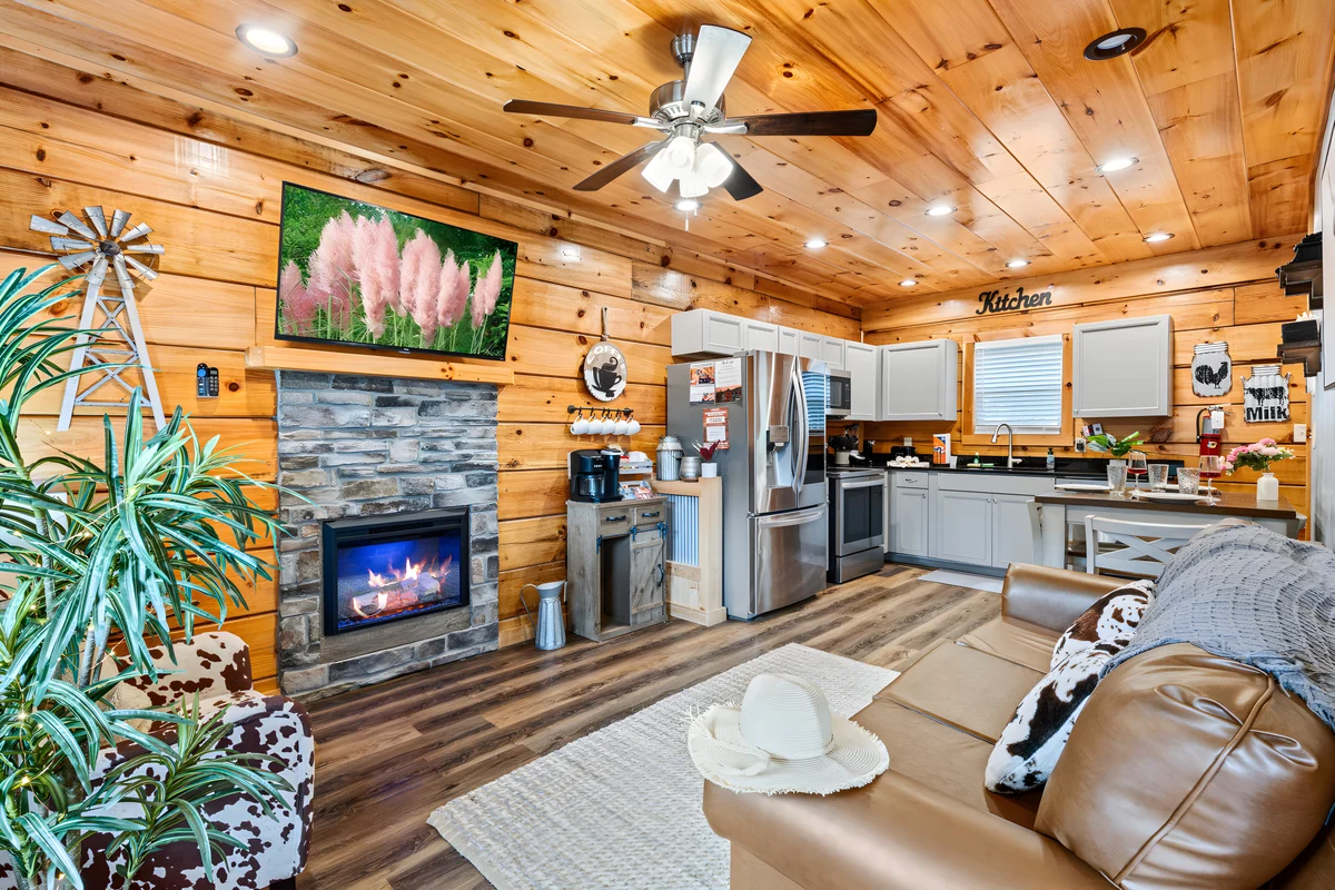 Home in Sevierville property photo 3
