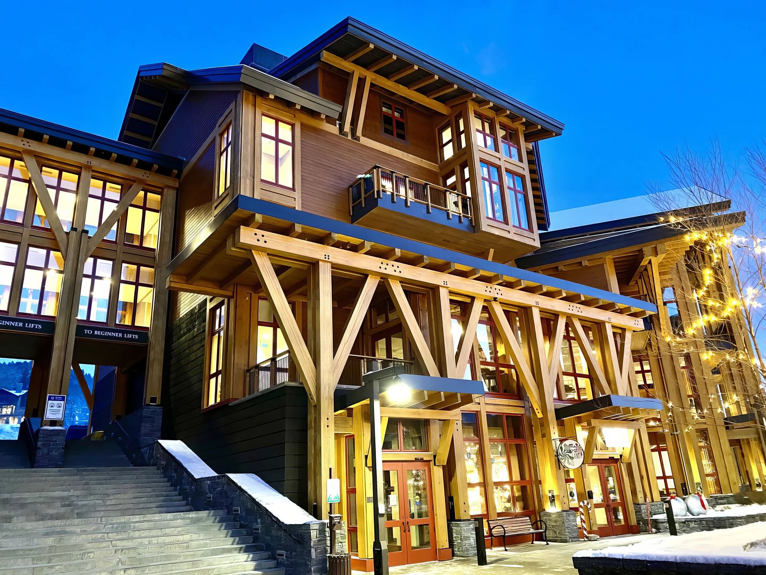 Treehouse 413| The Alpine | 3 Bed #27