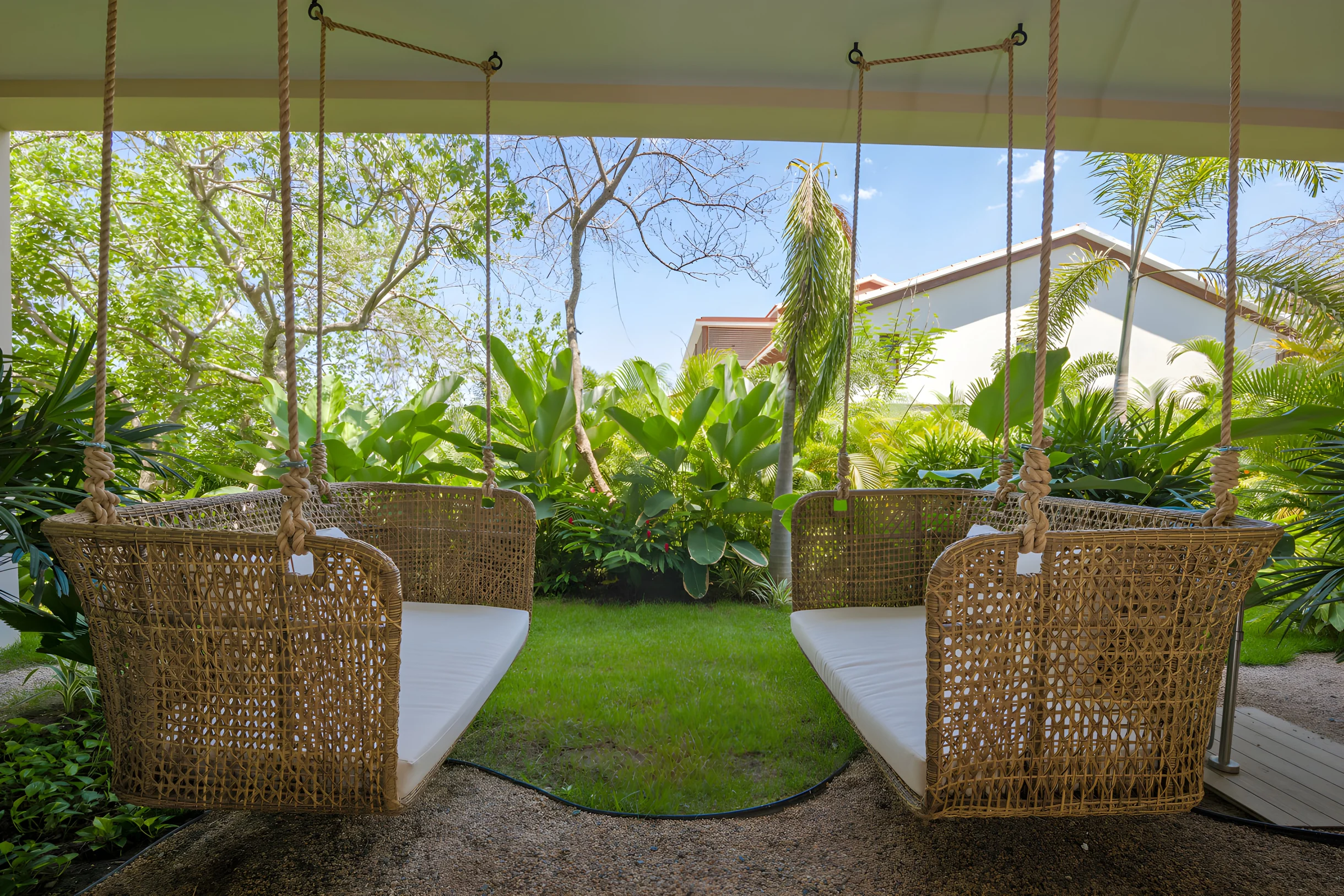 Wander Punta Mita Palmera #120