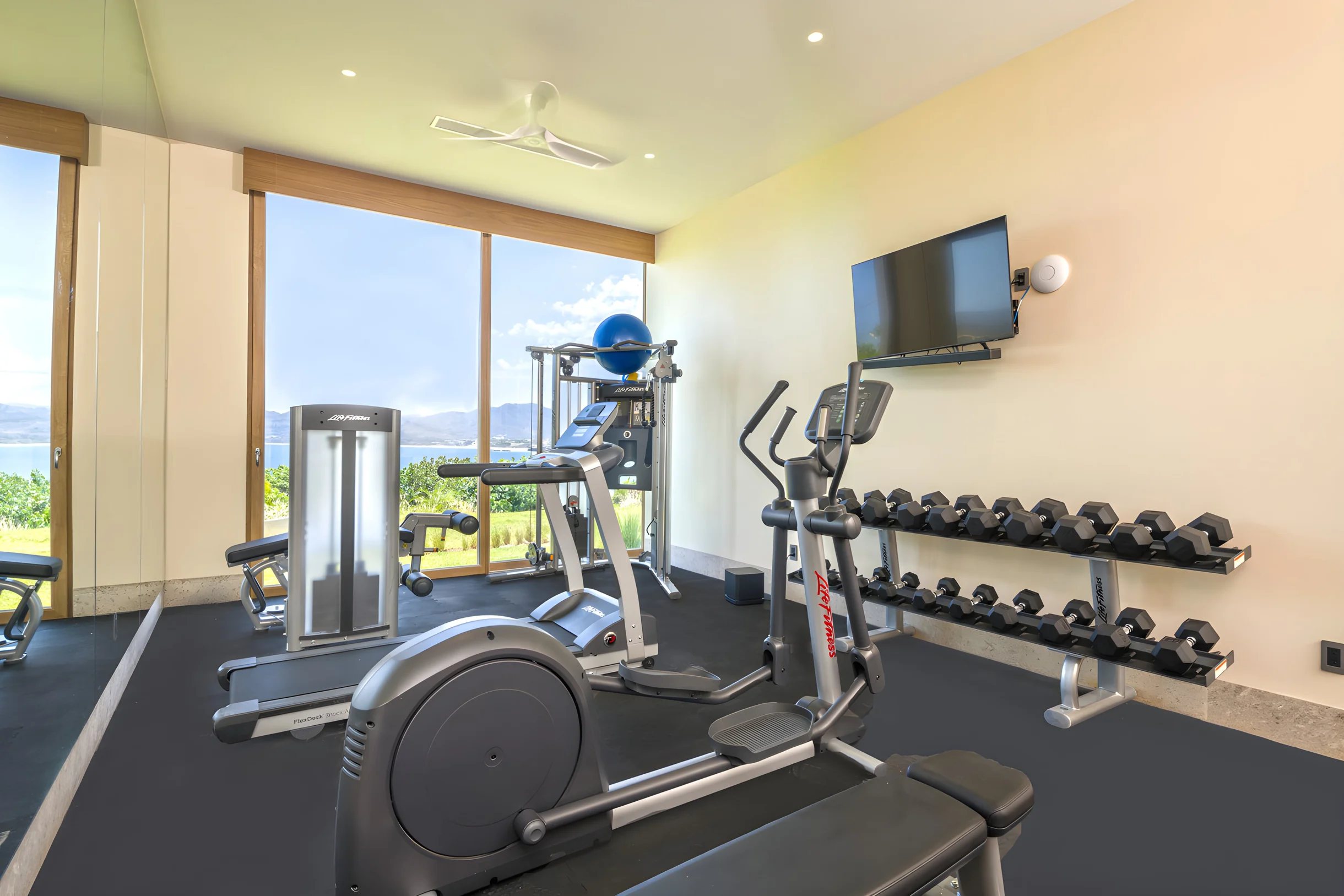 Wander Punta Mita Palmera #25