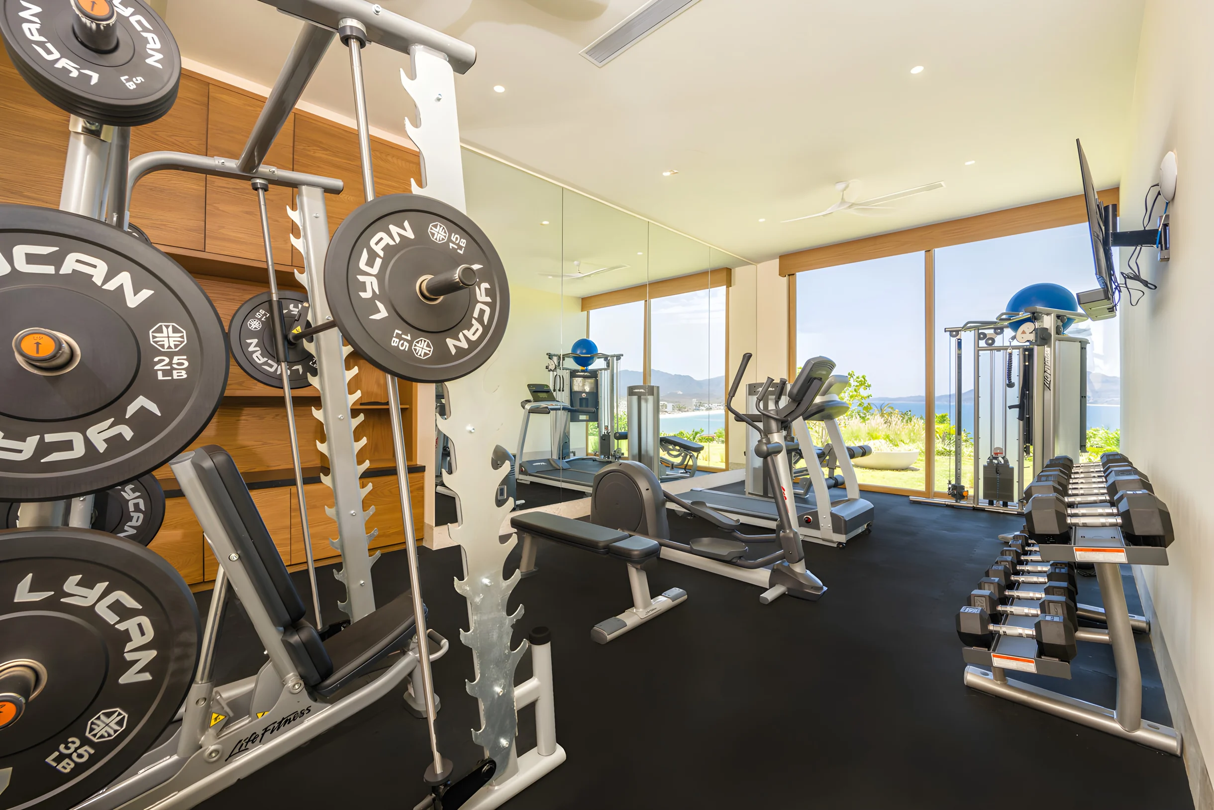 Wander Punta Mita Palmera #48