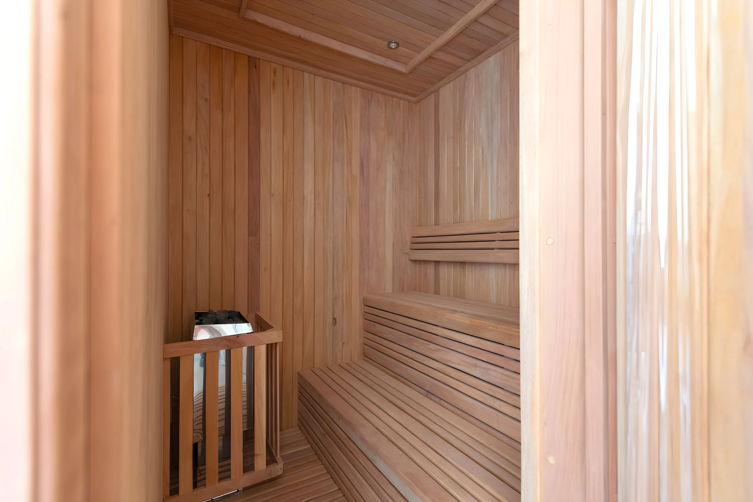 Wander Punta Mita Palmera