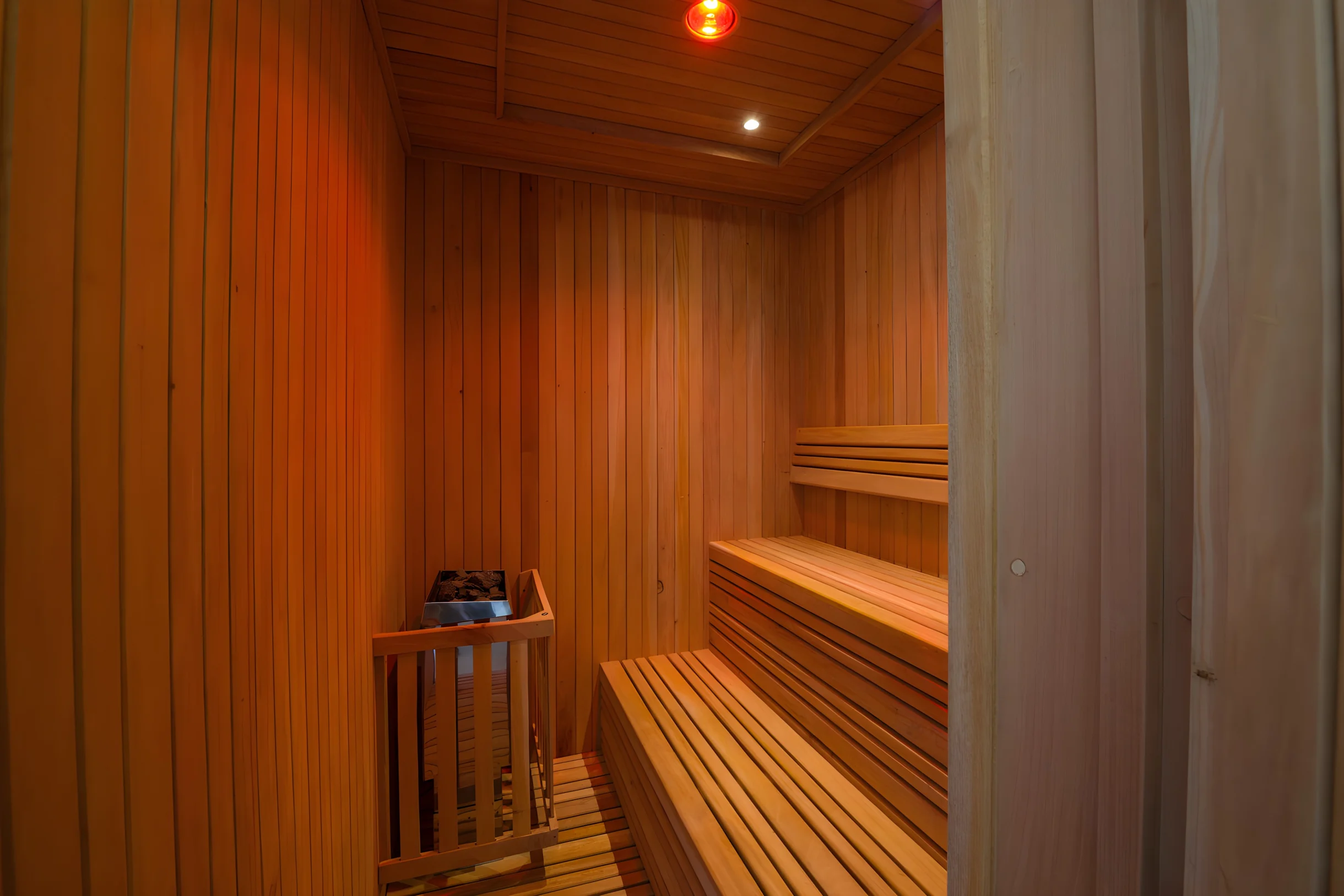 Wander Punta Mita Palmera #82