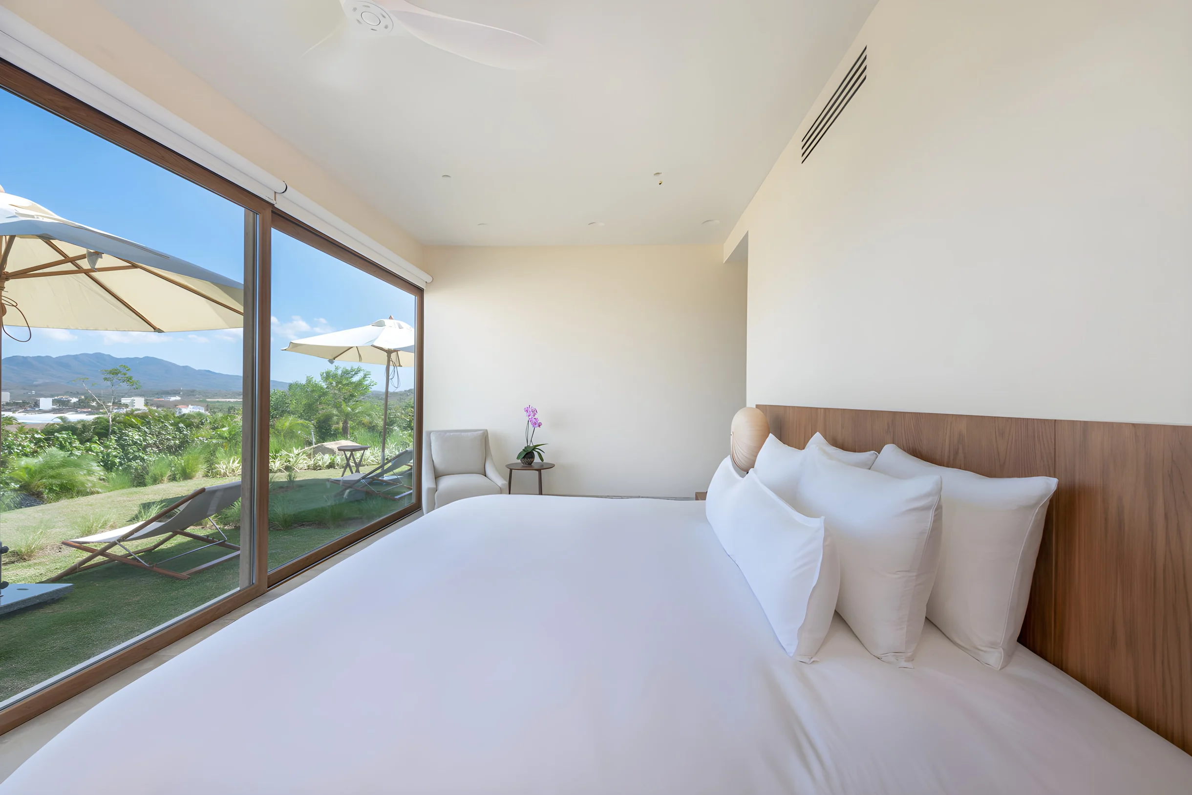 Wander Punta Mita Palmera #38