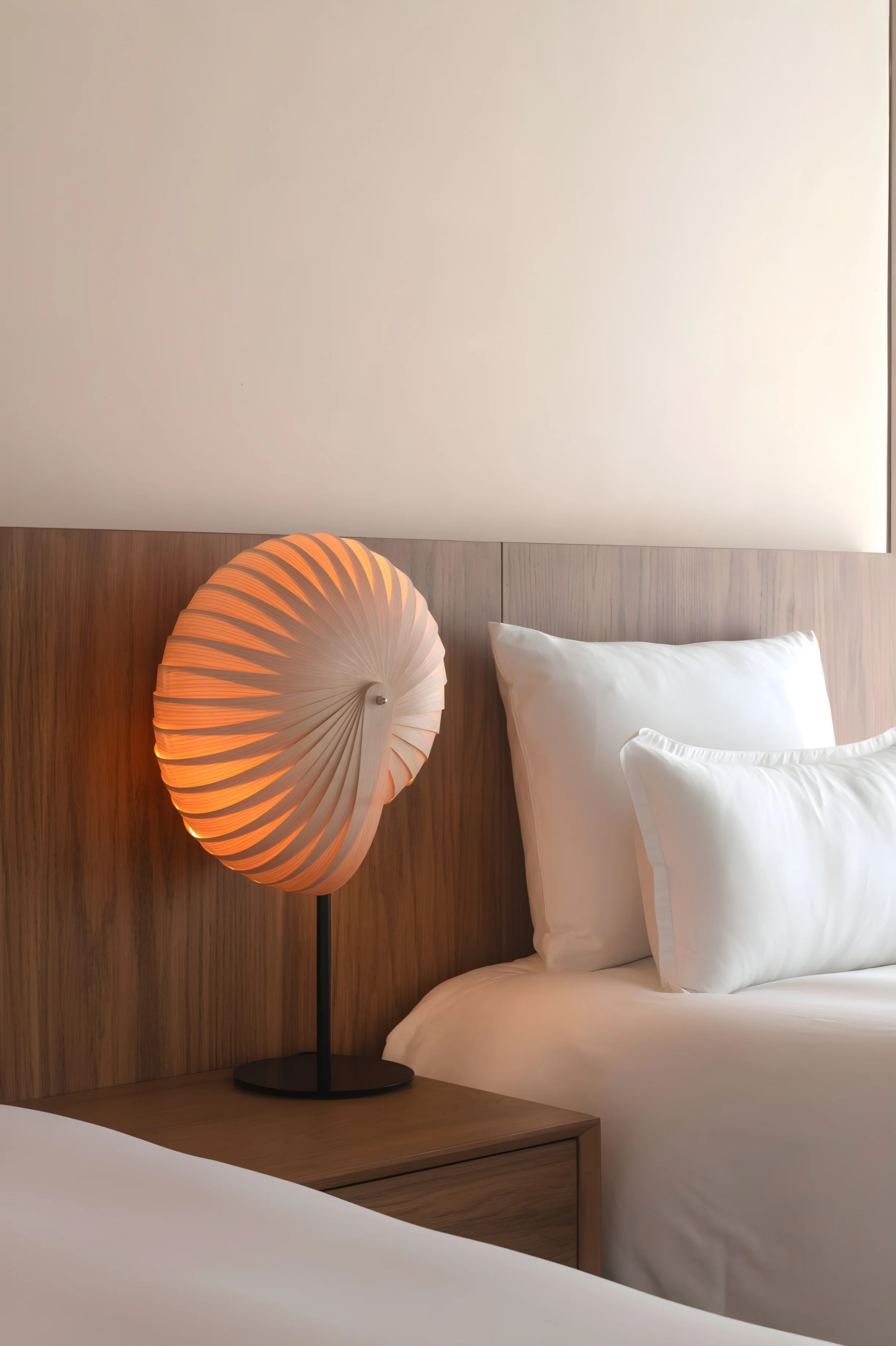 Wander Punta Mita Palmera #80