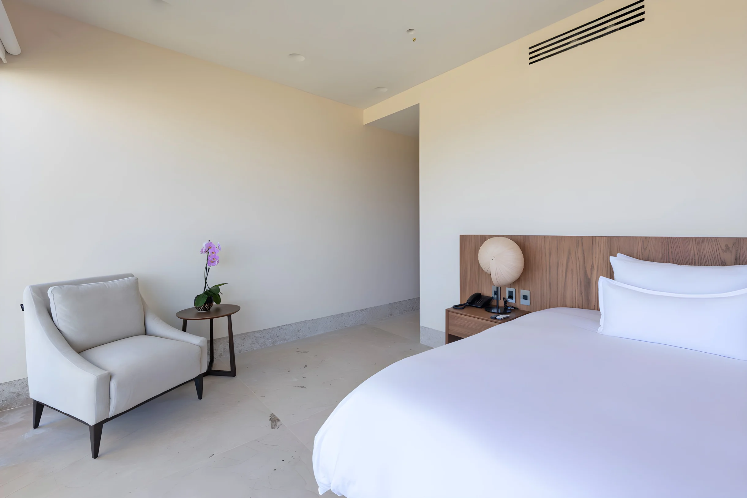 Wander Punta Mita Palmera #81