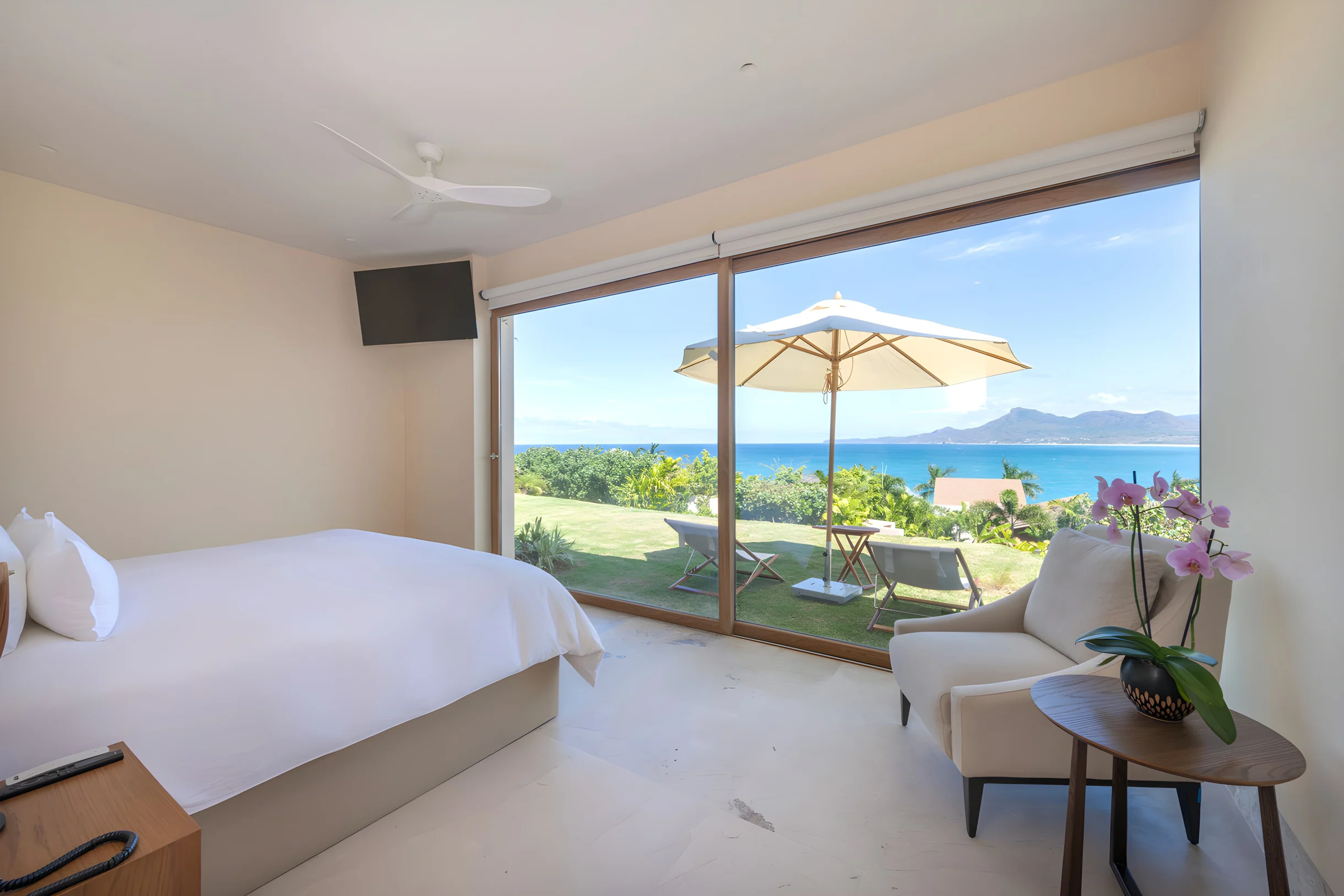 Wander Punta Mita Palmera #20