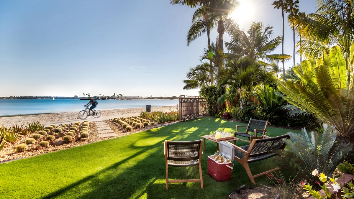 Wander Pacific Beach Dunes