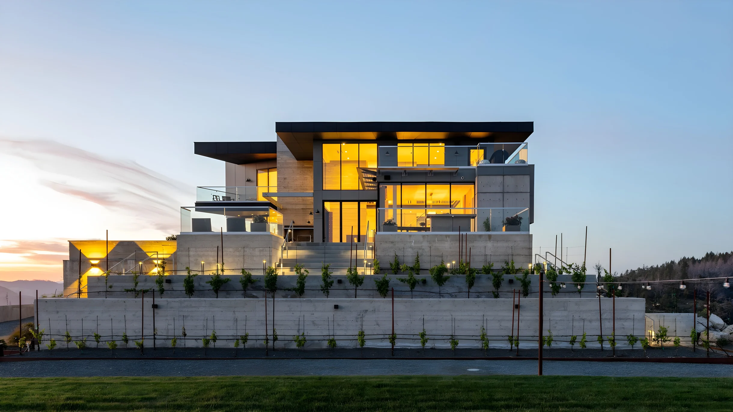 Wander Glen Ellen Vineyard #5