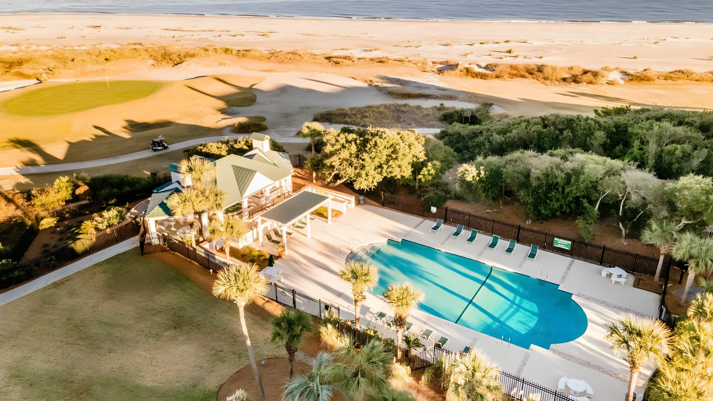 Wander Palms Tides #30