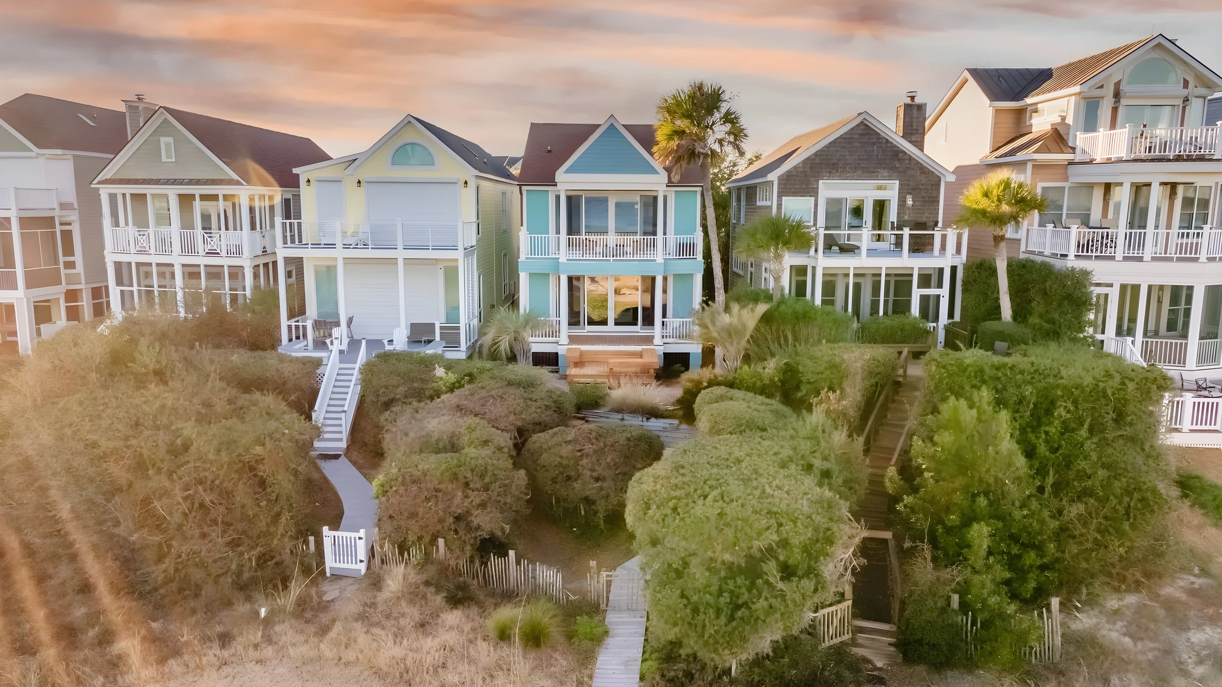 Wander Palms Tides #5