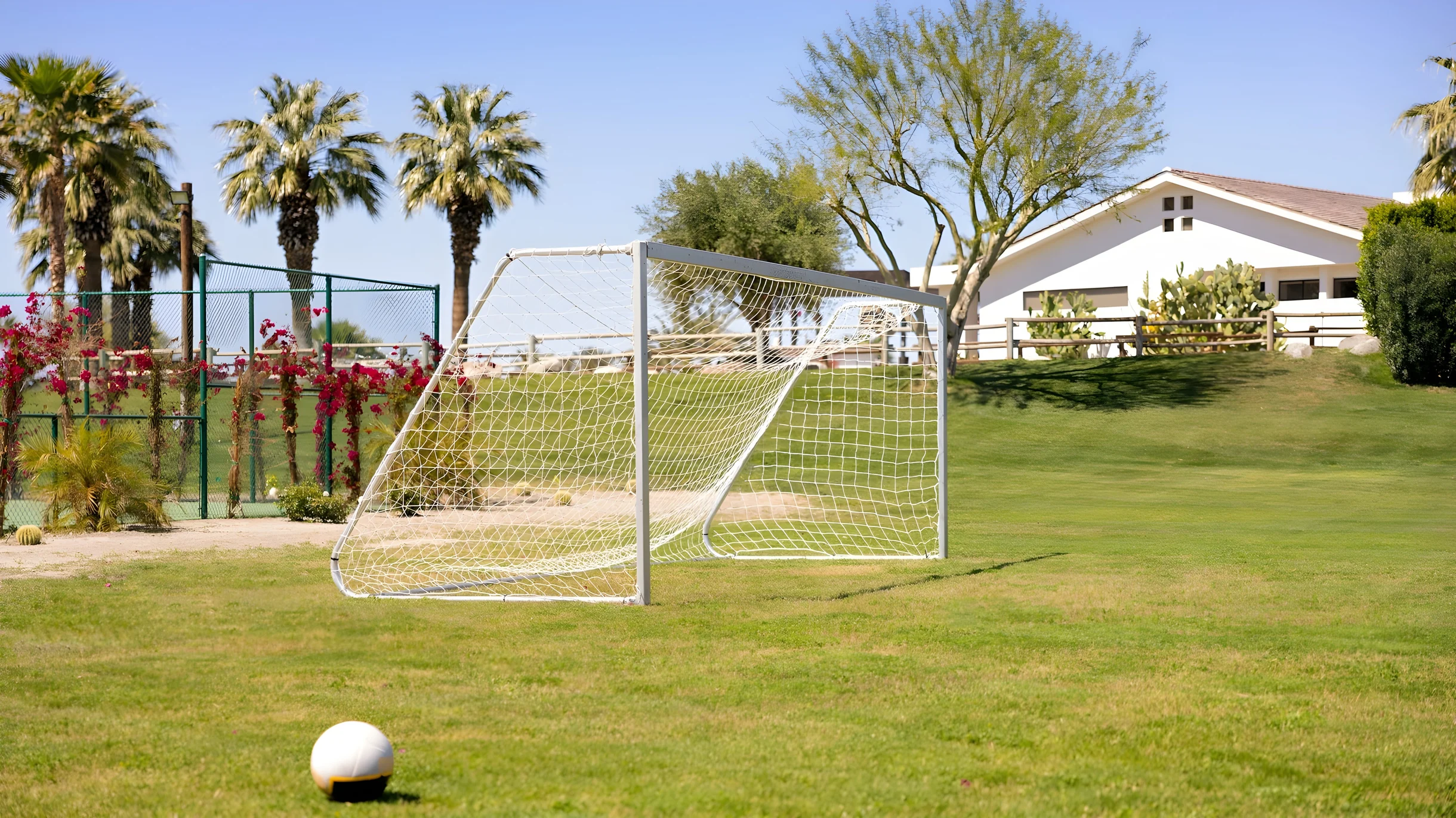 Wander Thermal Valley #33