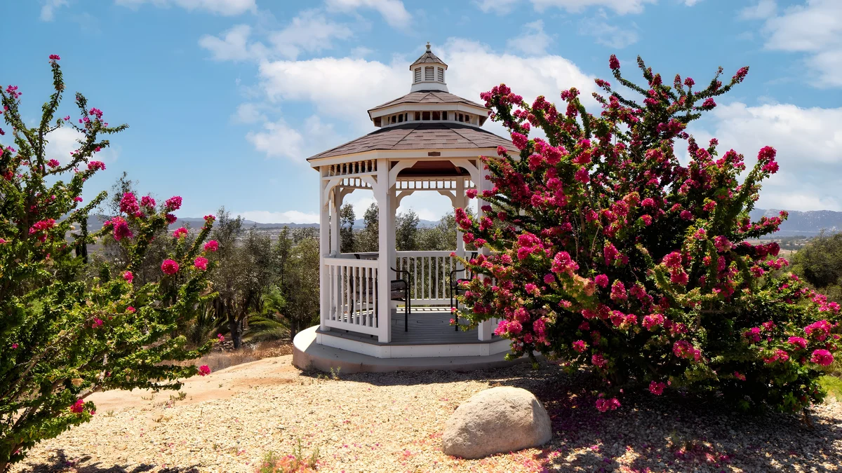 Wander Temecula Vineyards