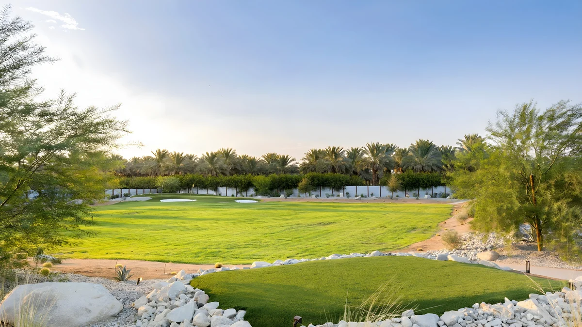 Wander Thermal Palms