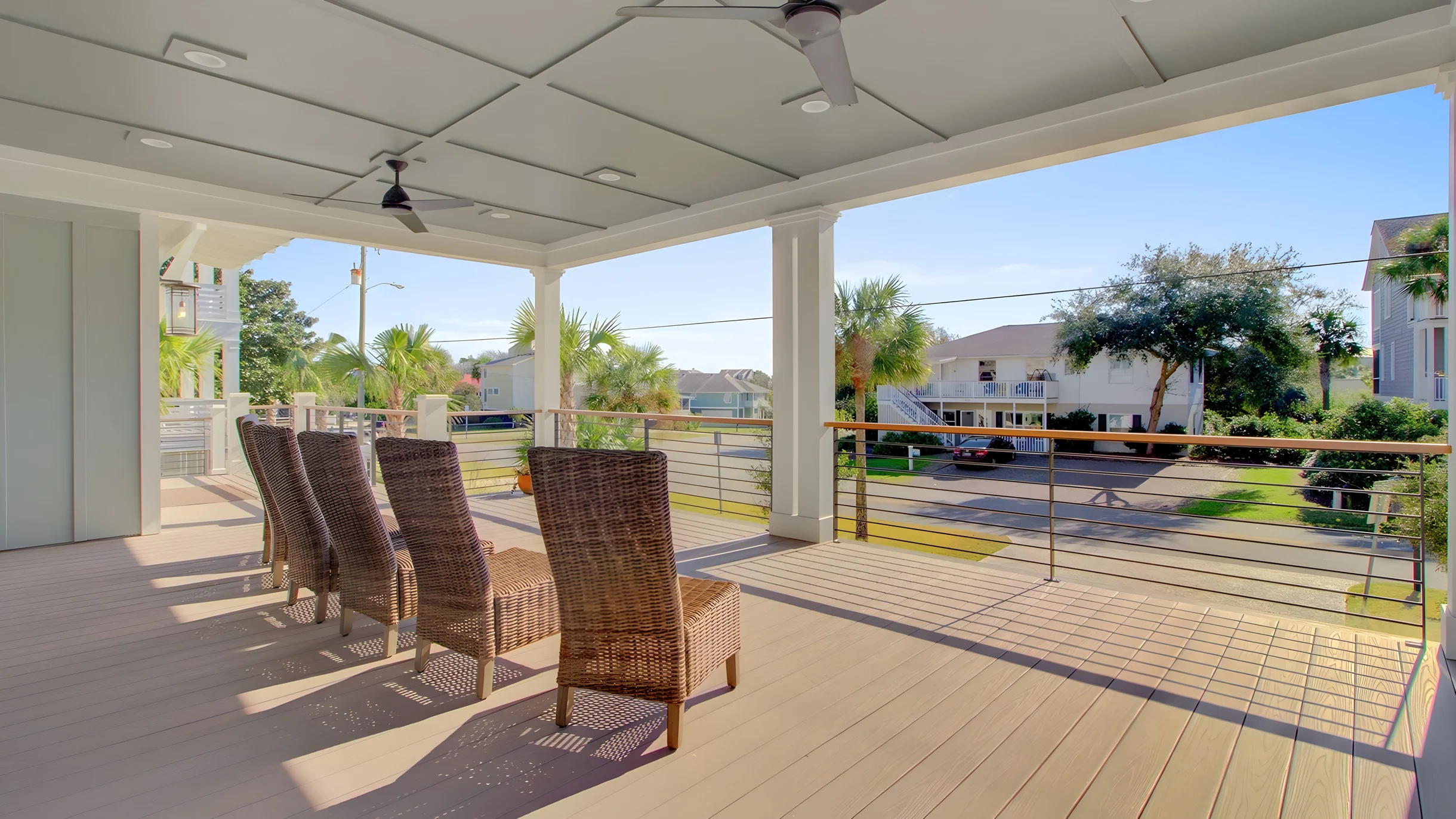 Wander Palms Glow #17