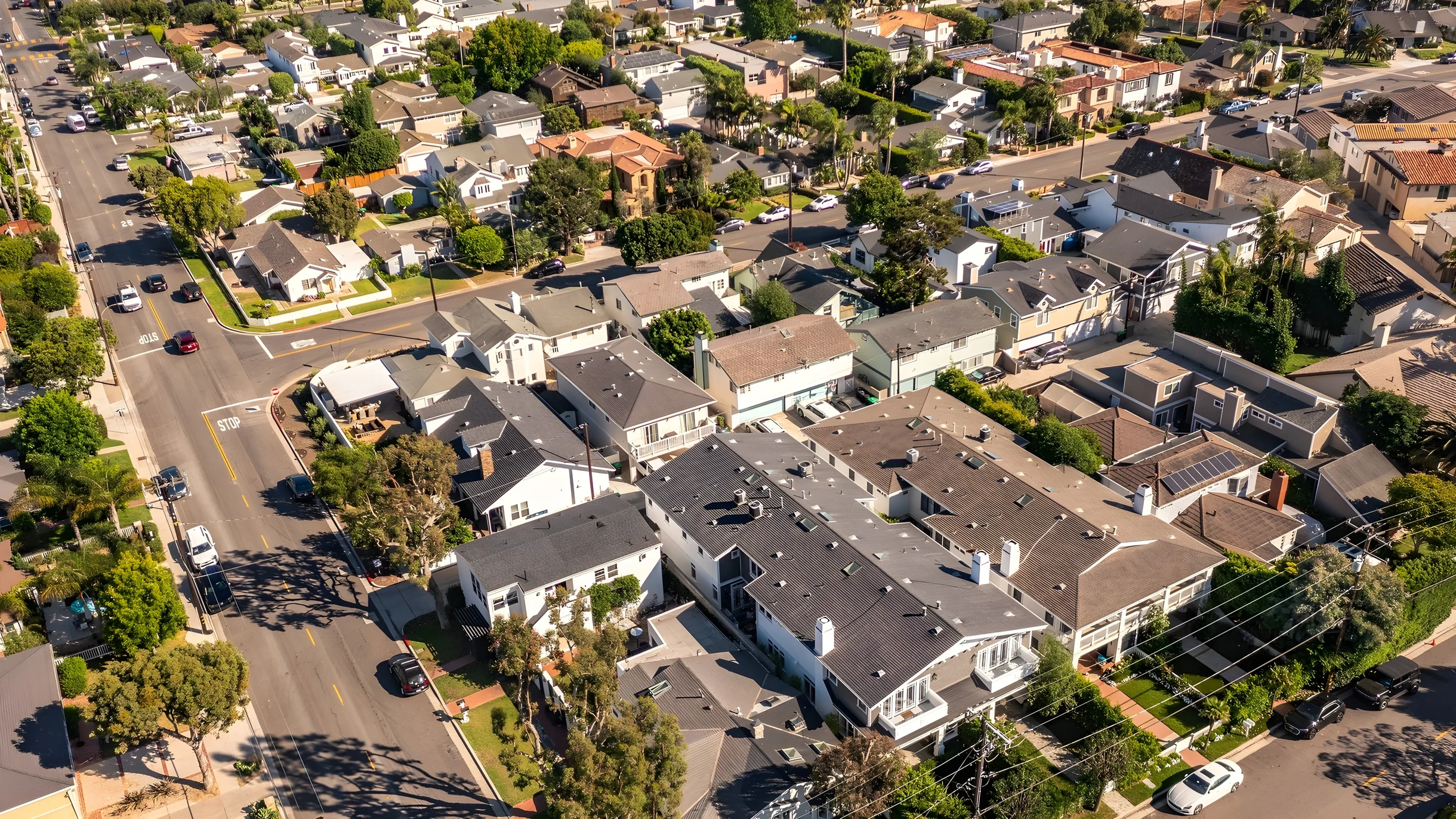 Wander Newport Shores Drift #5