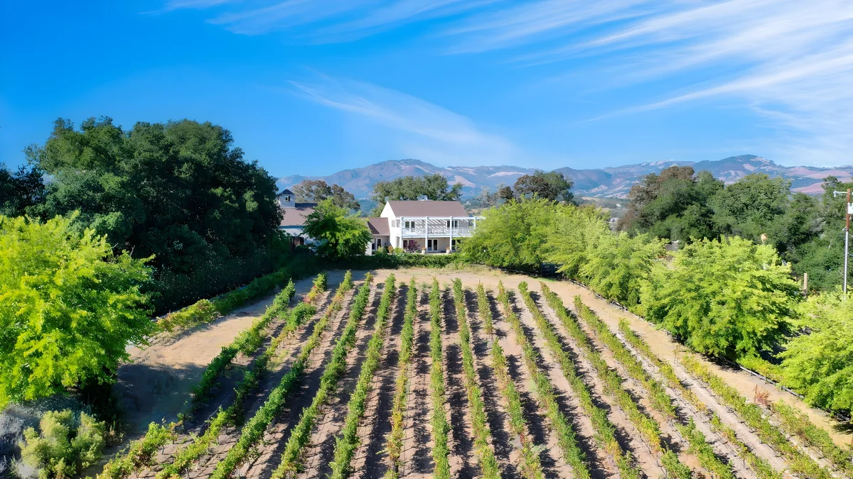 Wander Sonoma Mountain Retreat