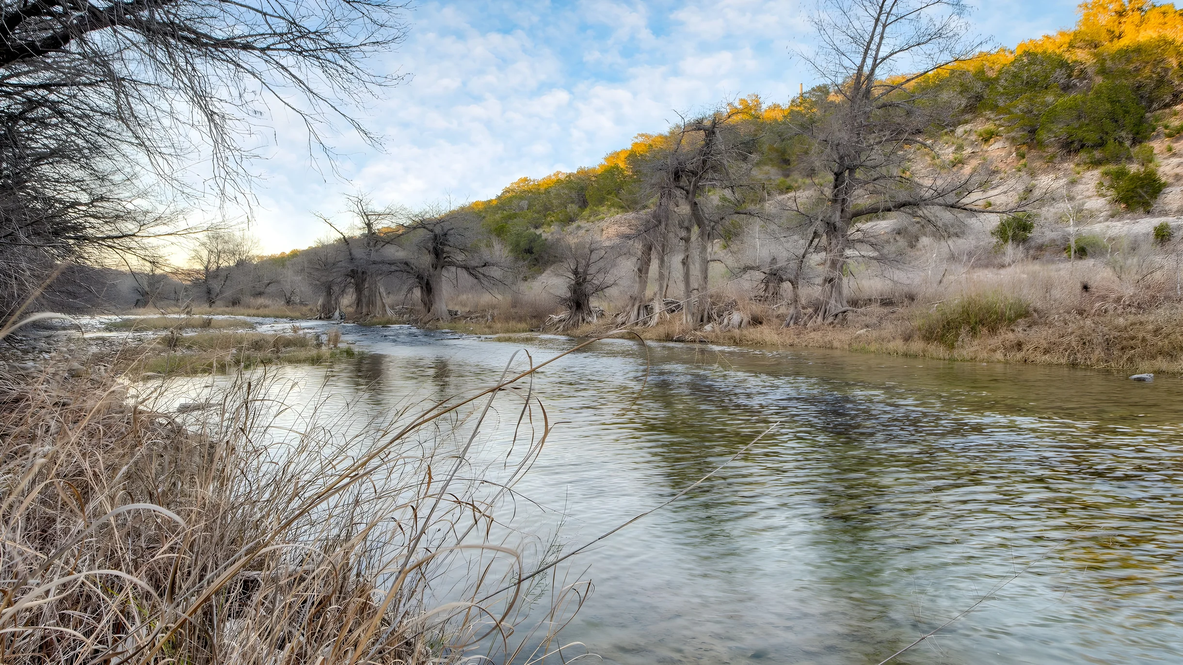 Wander Dripping Springs Canyon #56
