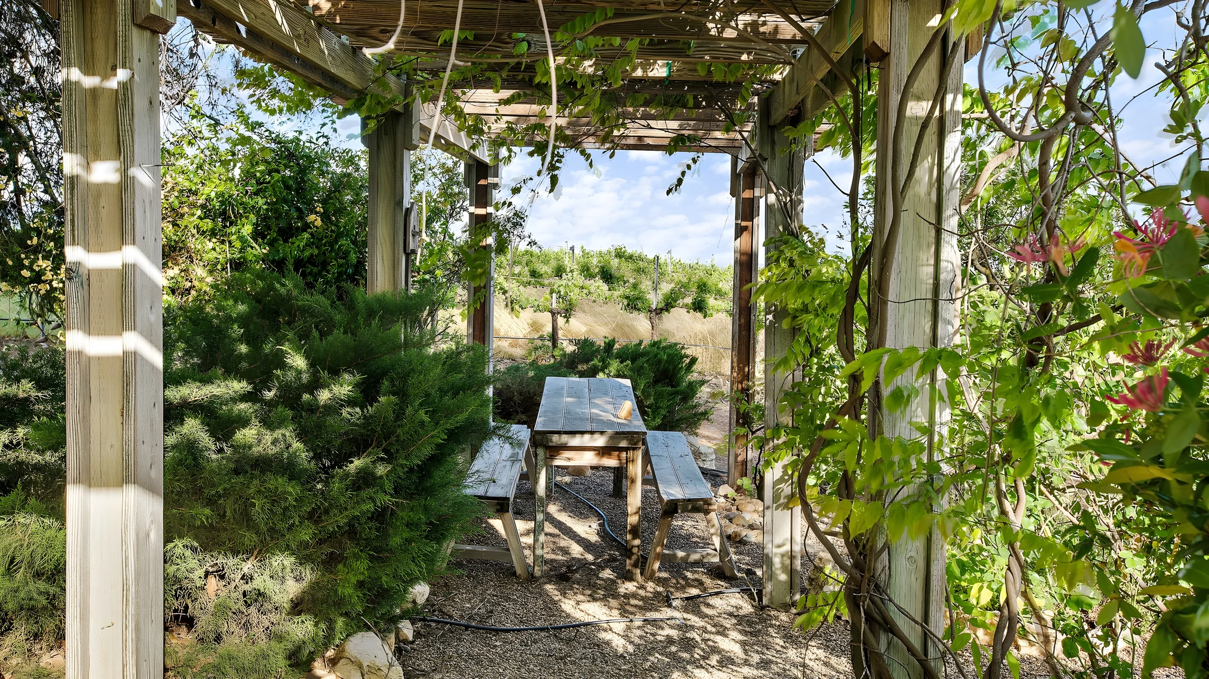 Wander Paso Robles Retreat #43