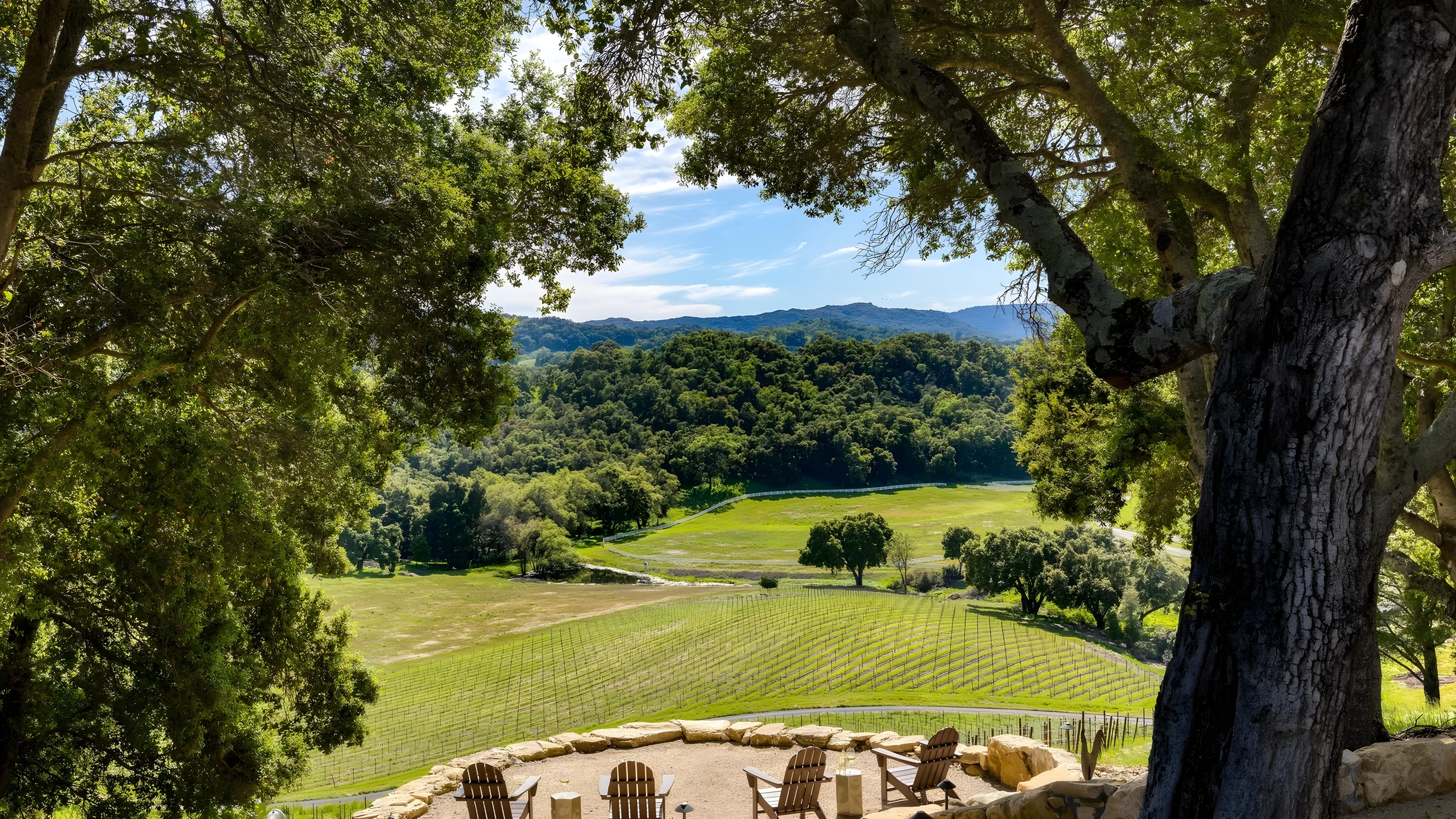 Wander Paso Robles Hillside #11