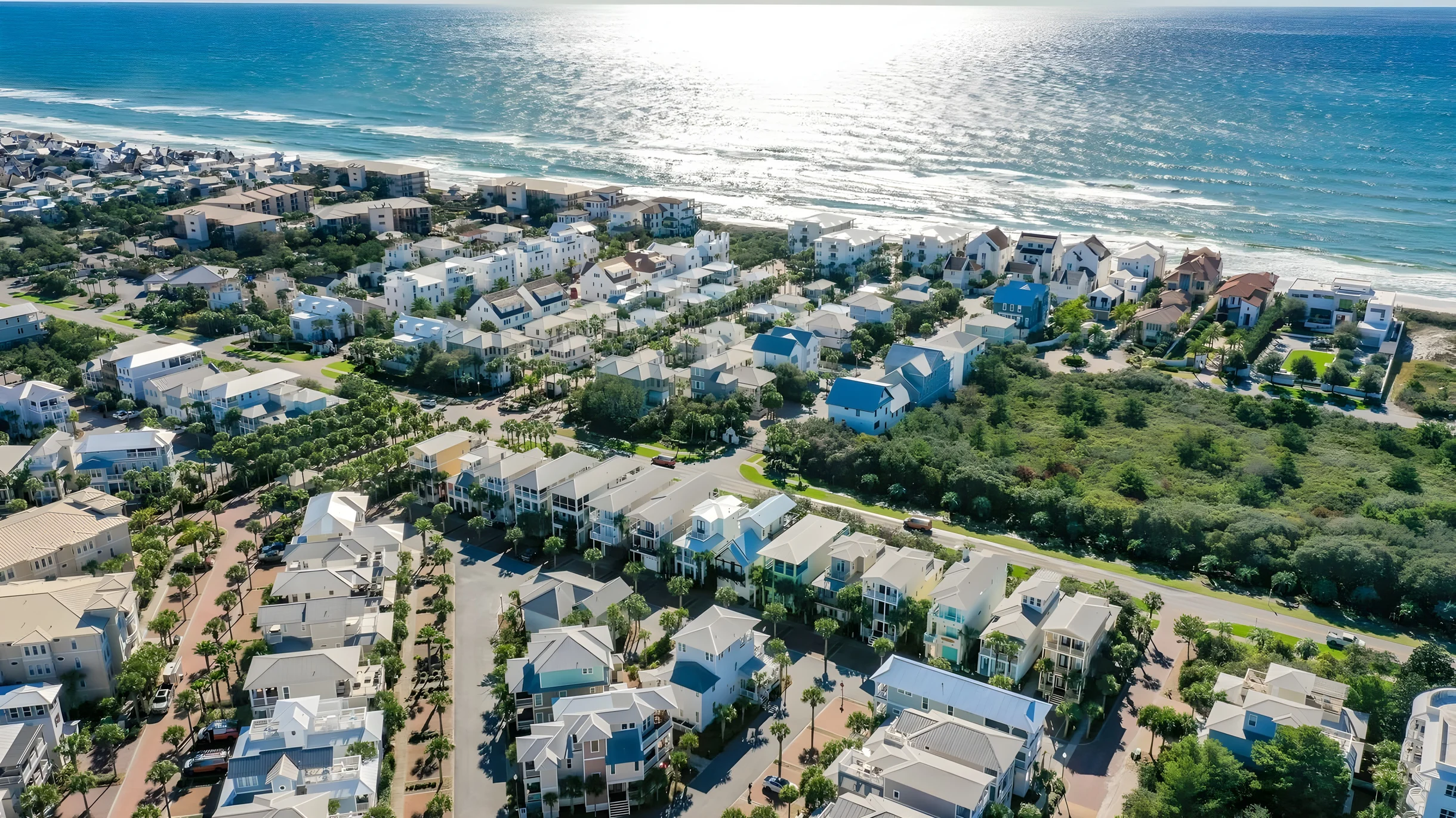 Wander Rosemary Beach Dunes #5