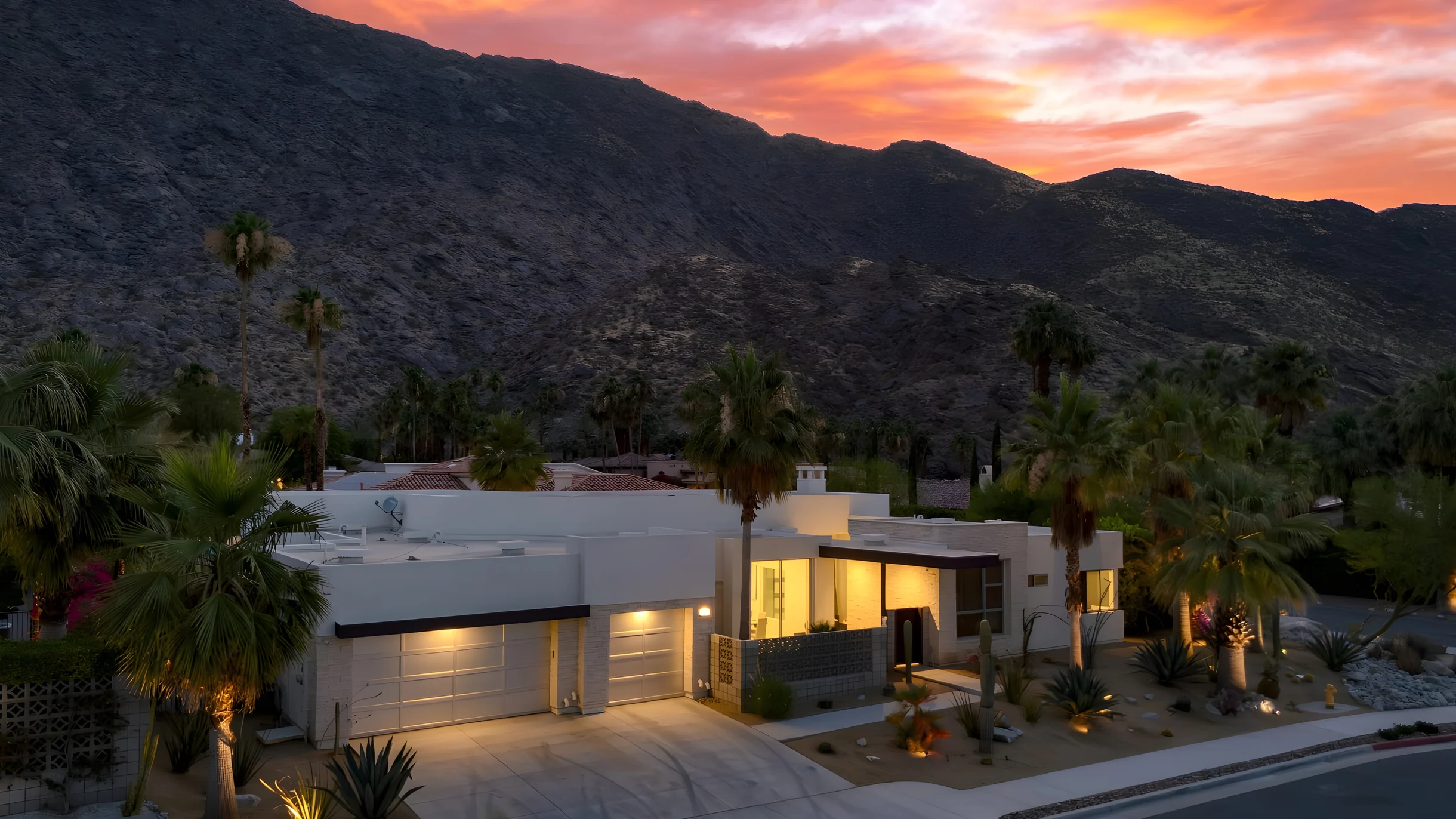 Wander Palm Springs Palms #4