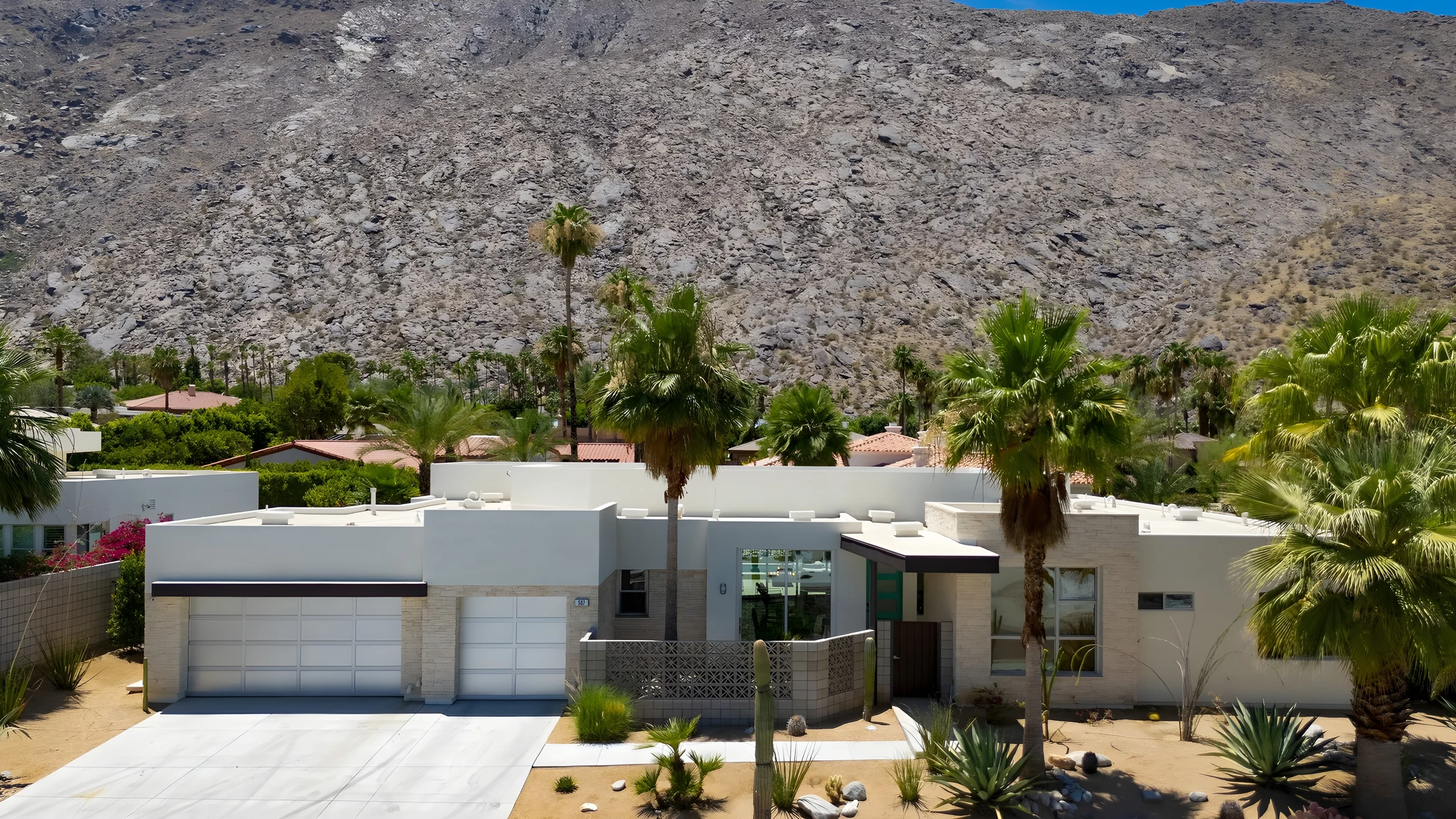 Wander Palm Springs Palms #8