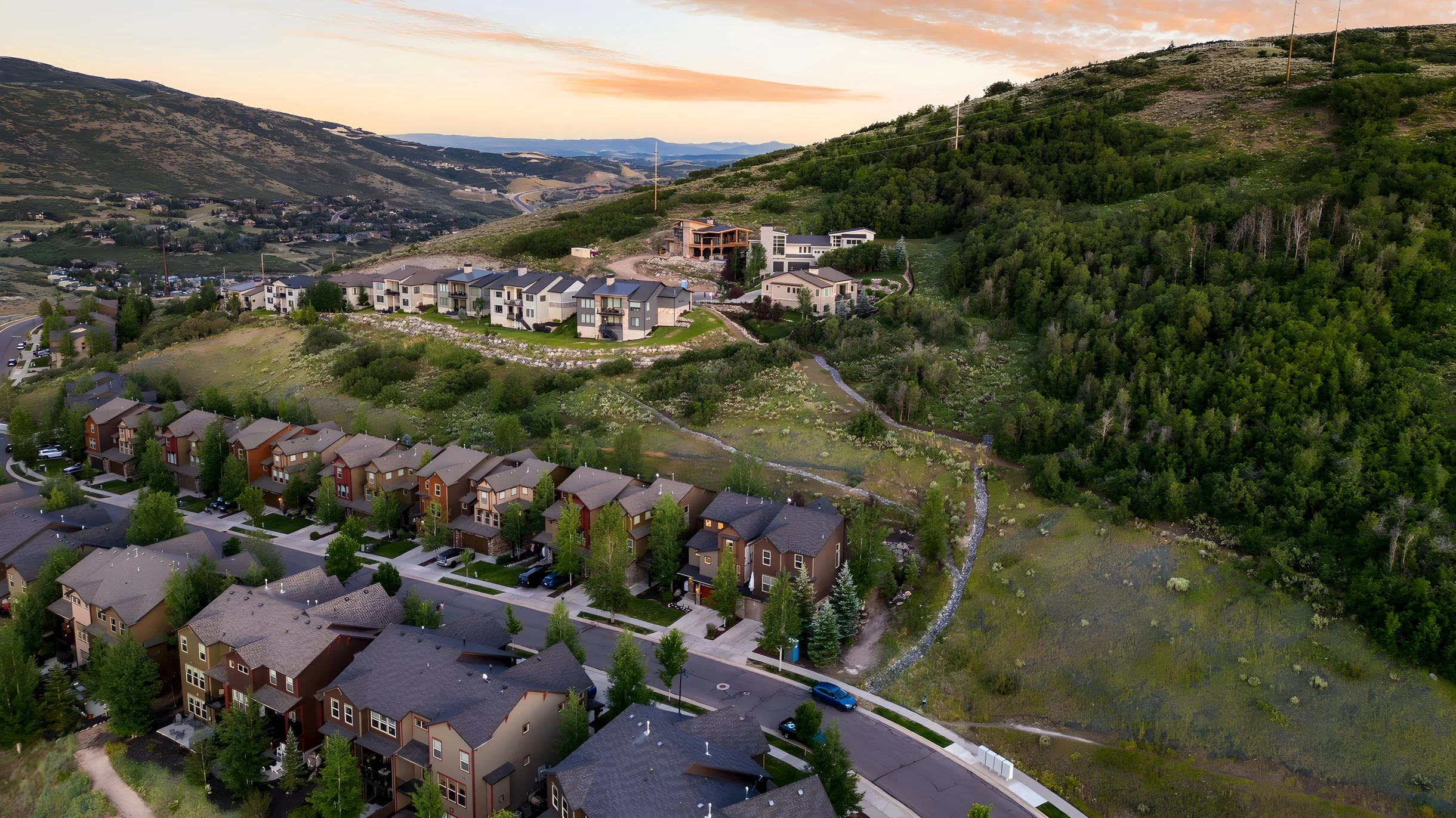 Wander Heber Pines #7