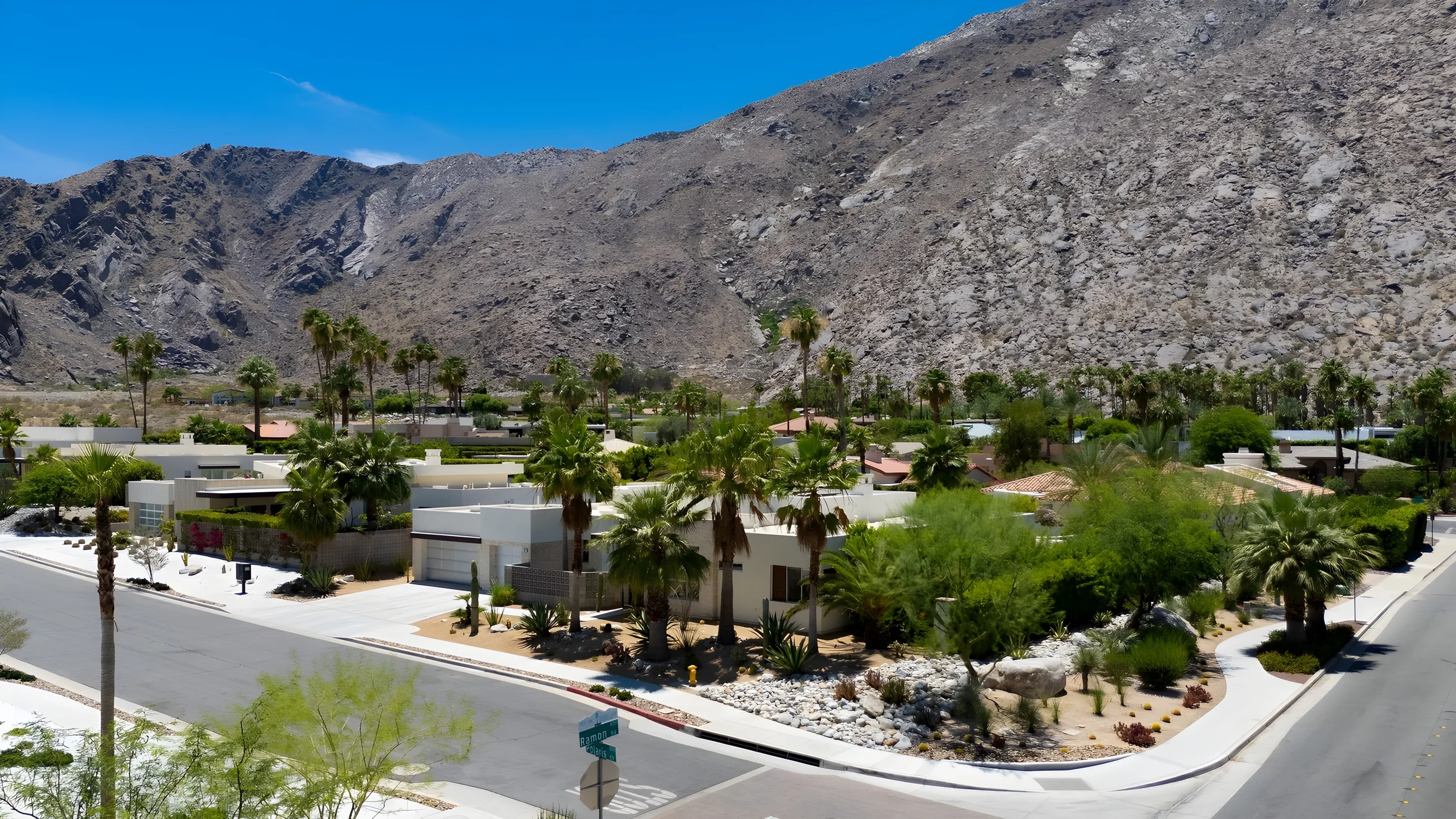 Wander Palm Springs Palms #5