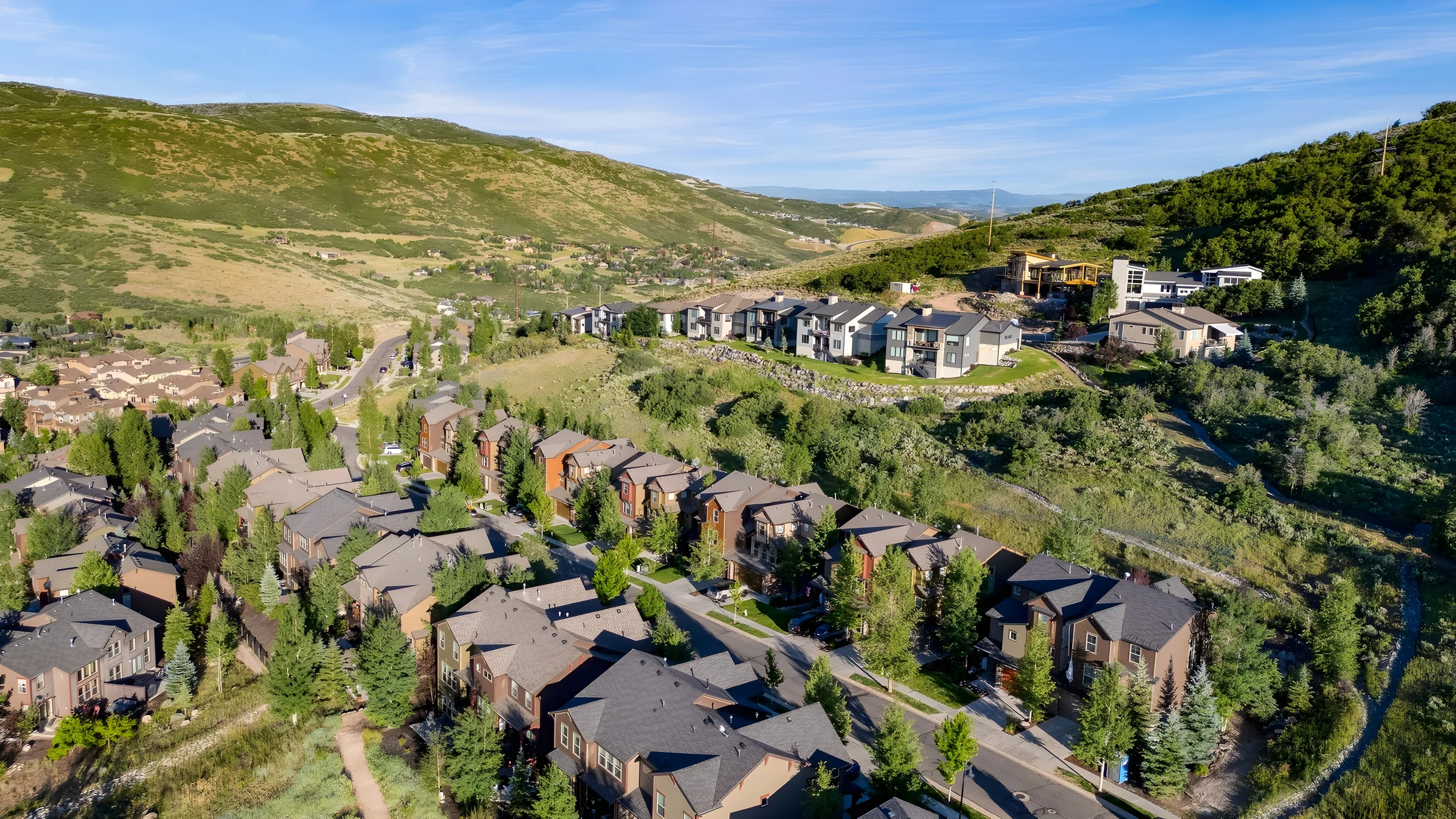 Wander Heber Pines #40