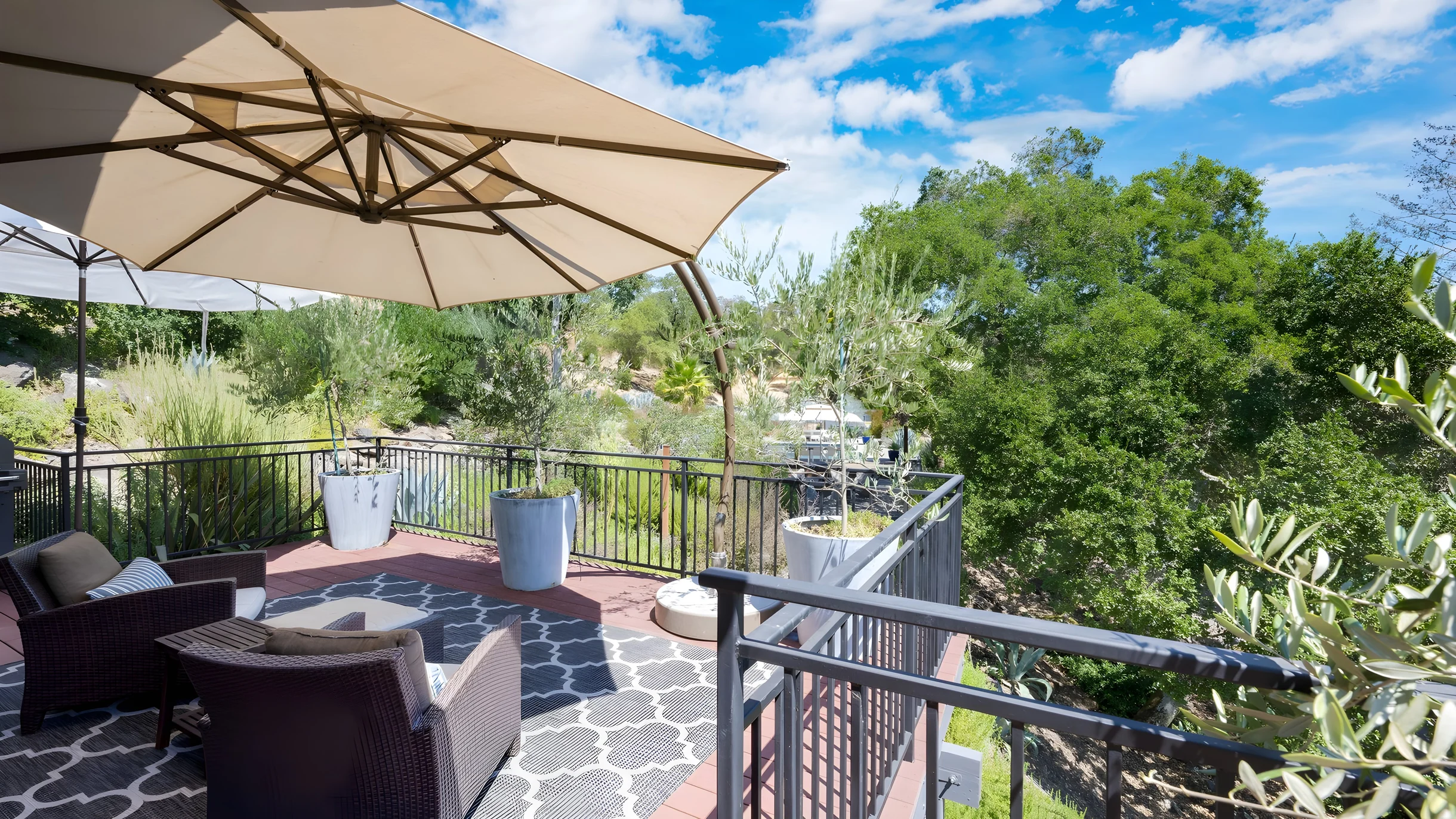 Wander Kenwood Vineyards #40