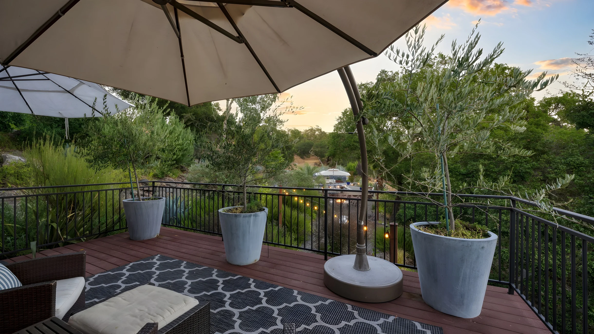 Wander Kenwood Vineyards #23