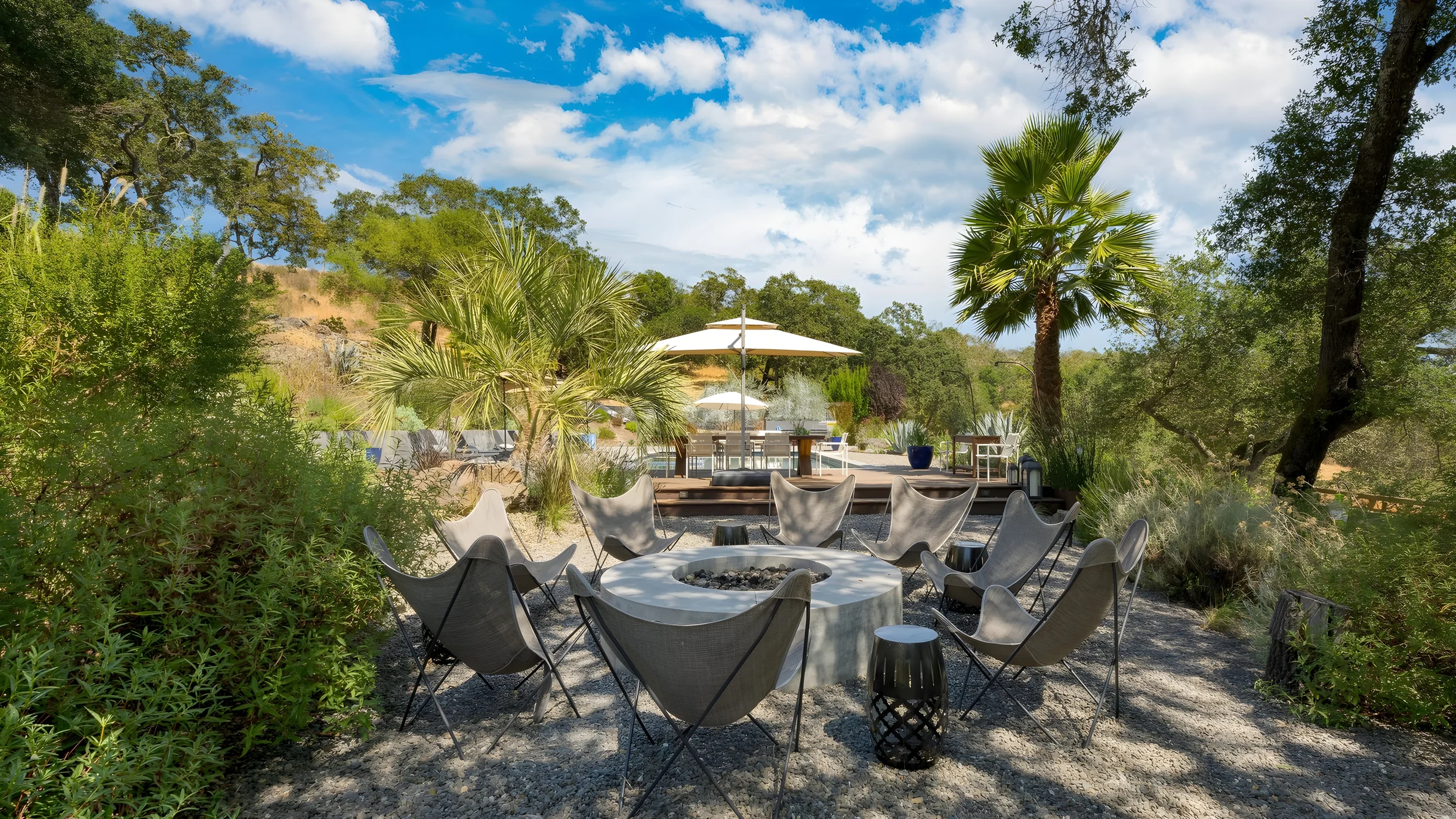 Wander Kenwood Vineyards #39