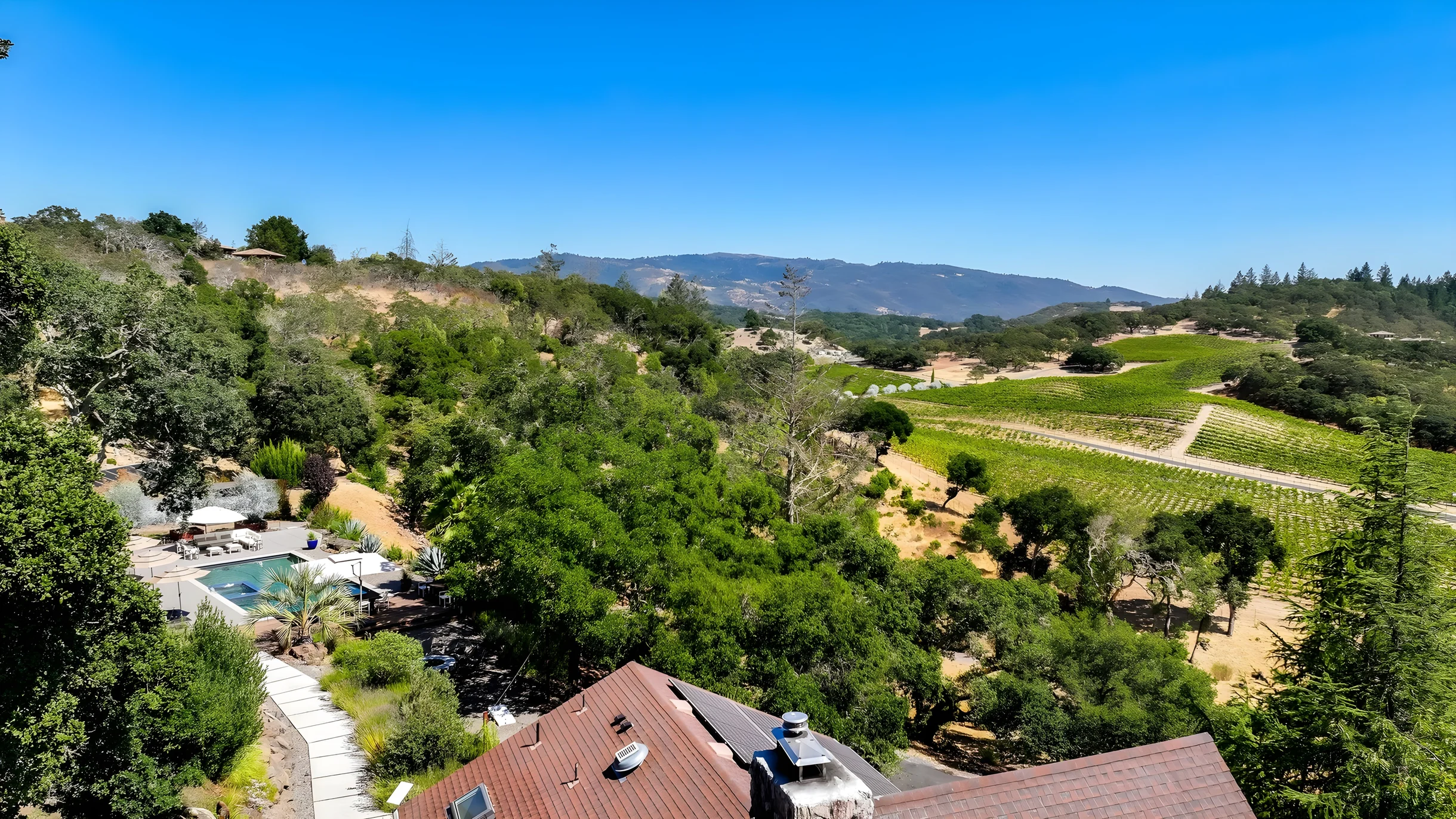 Wander Kenwood Vineyards #54