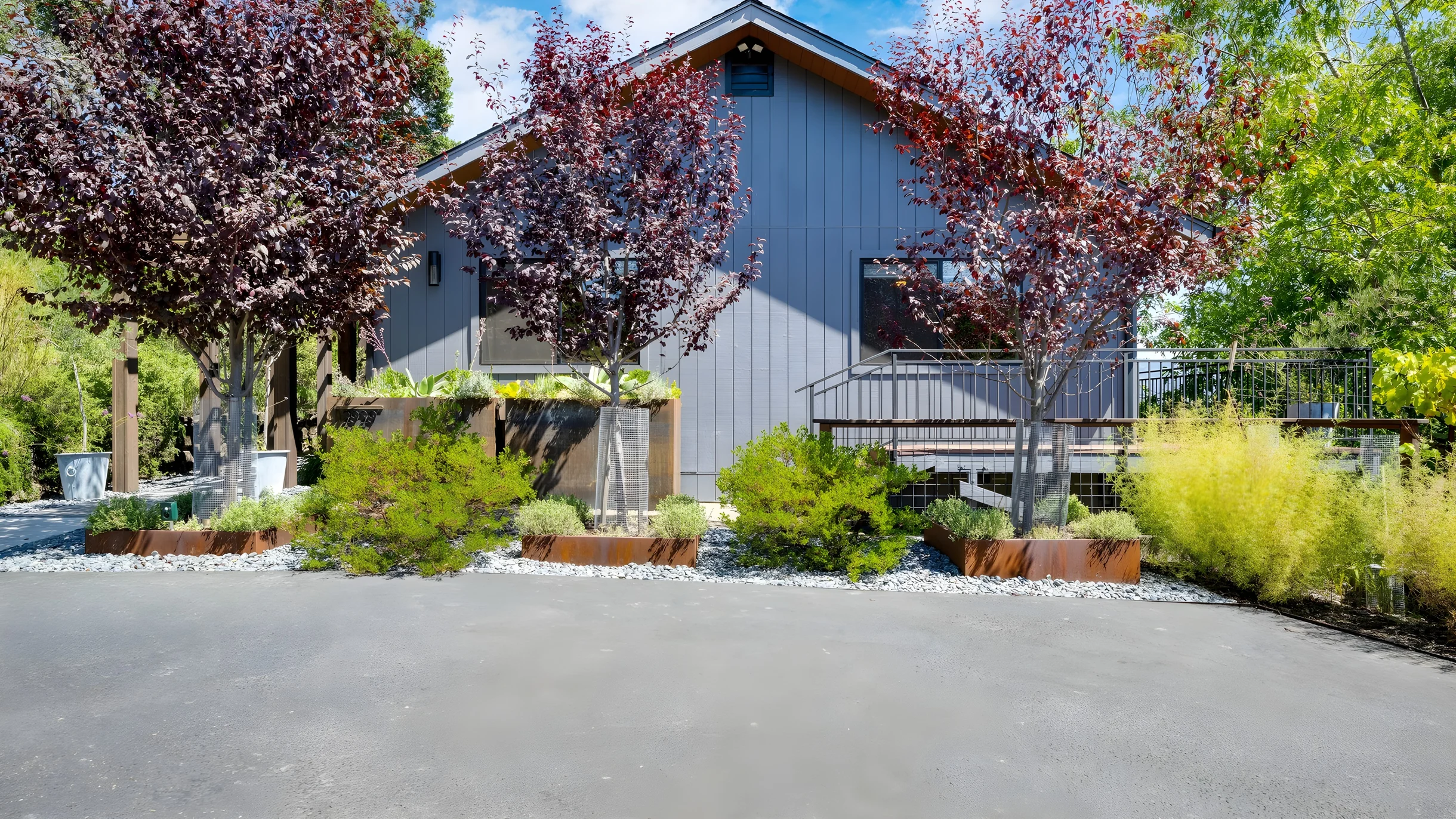 Wander Kenwood Vineyards #50