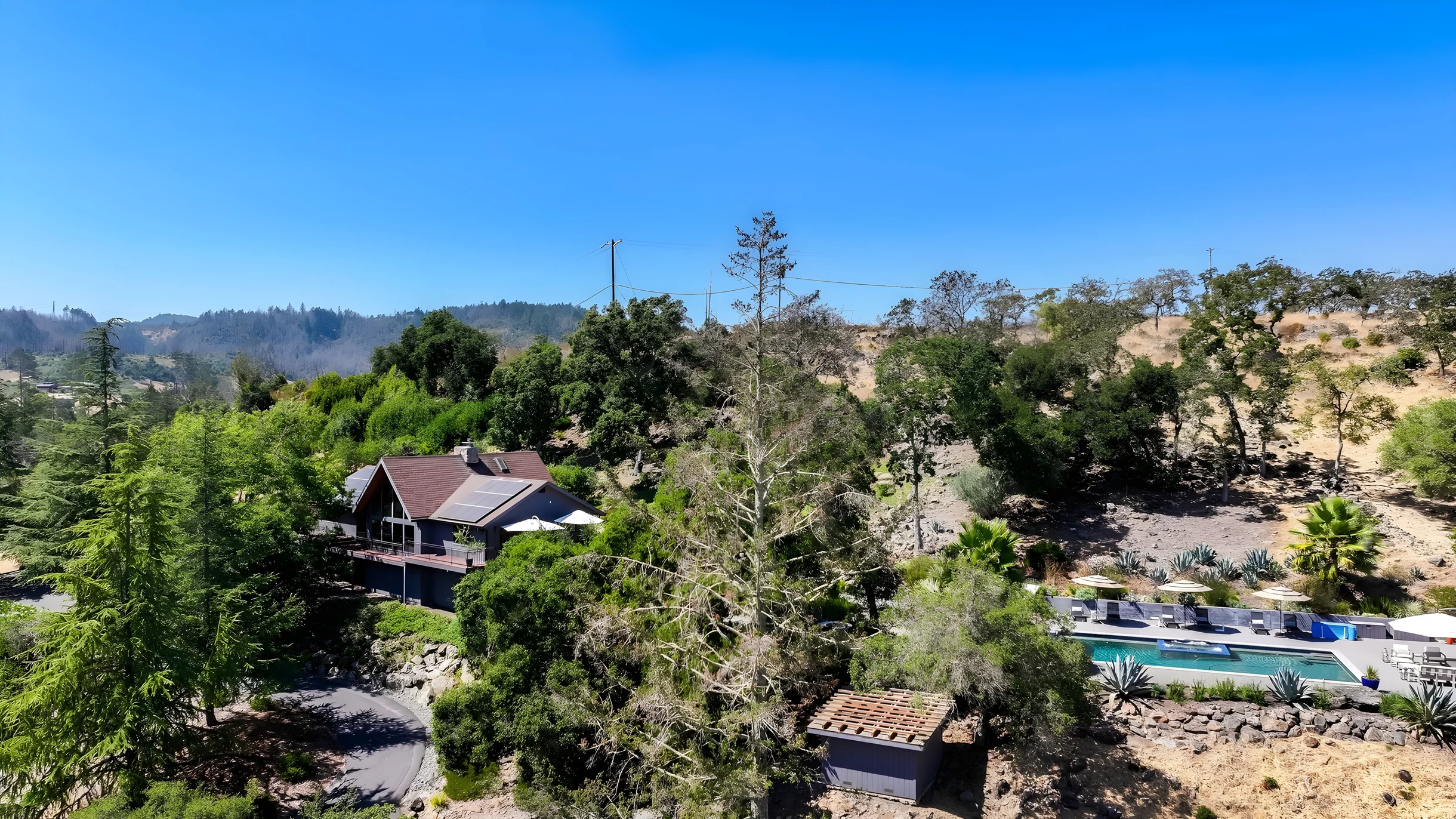 Wander Kenwood Vineyards #9