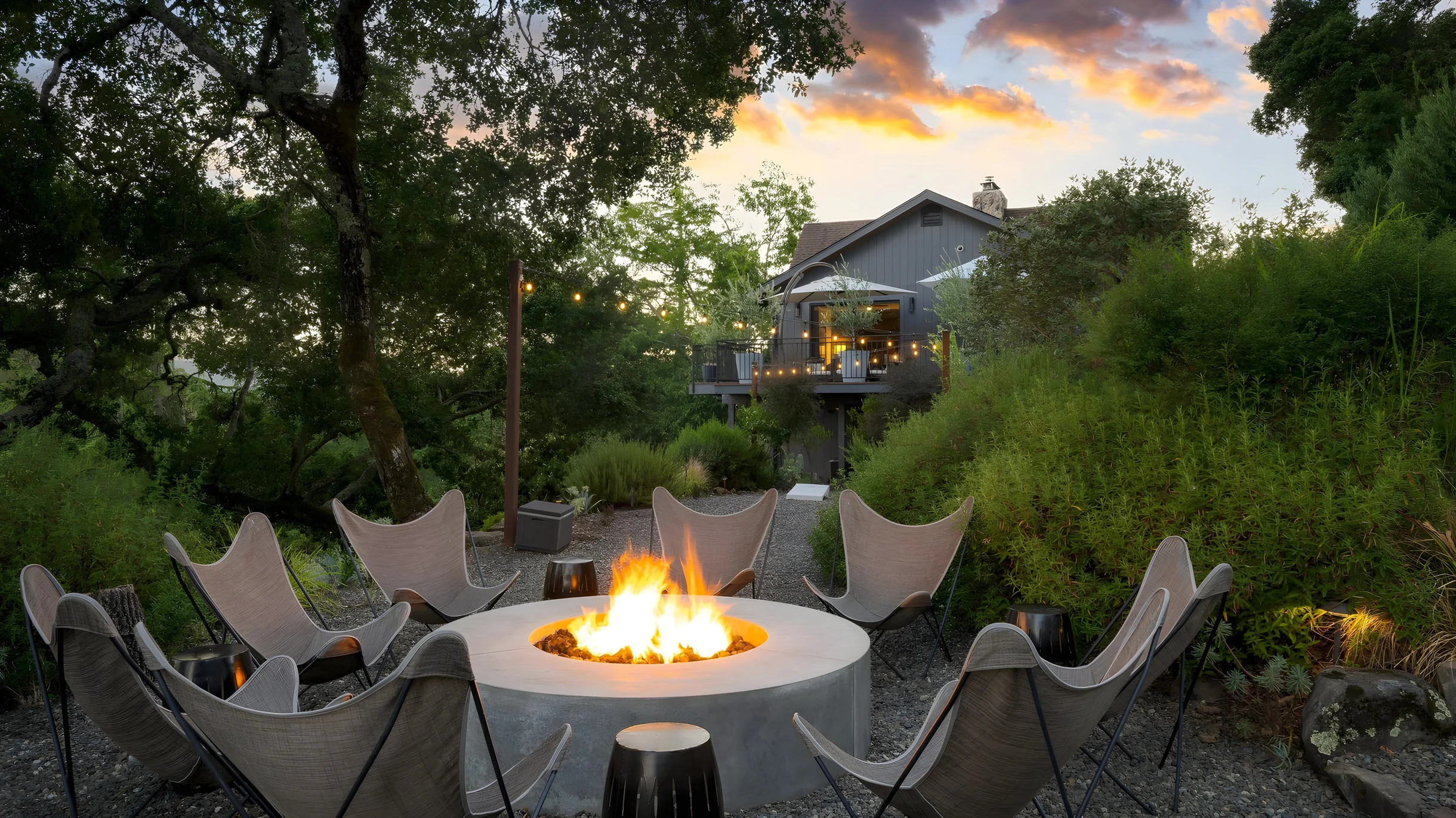 Wander Kenwood Vineyards #26