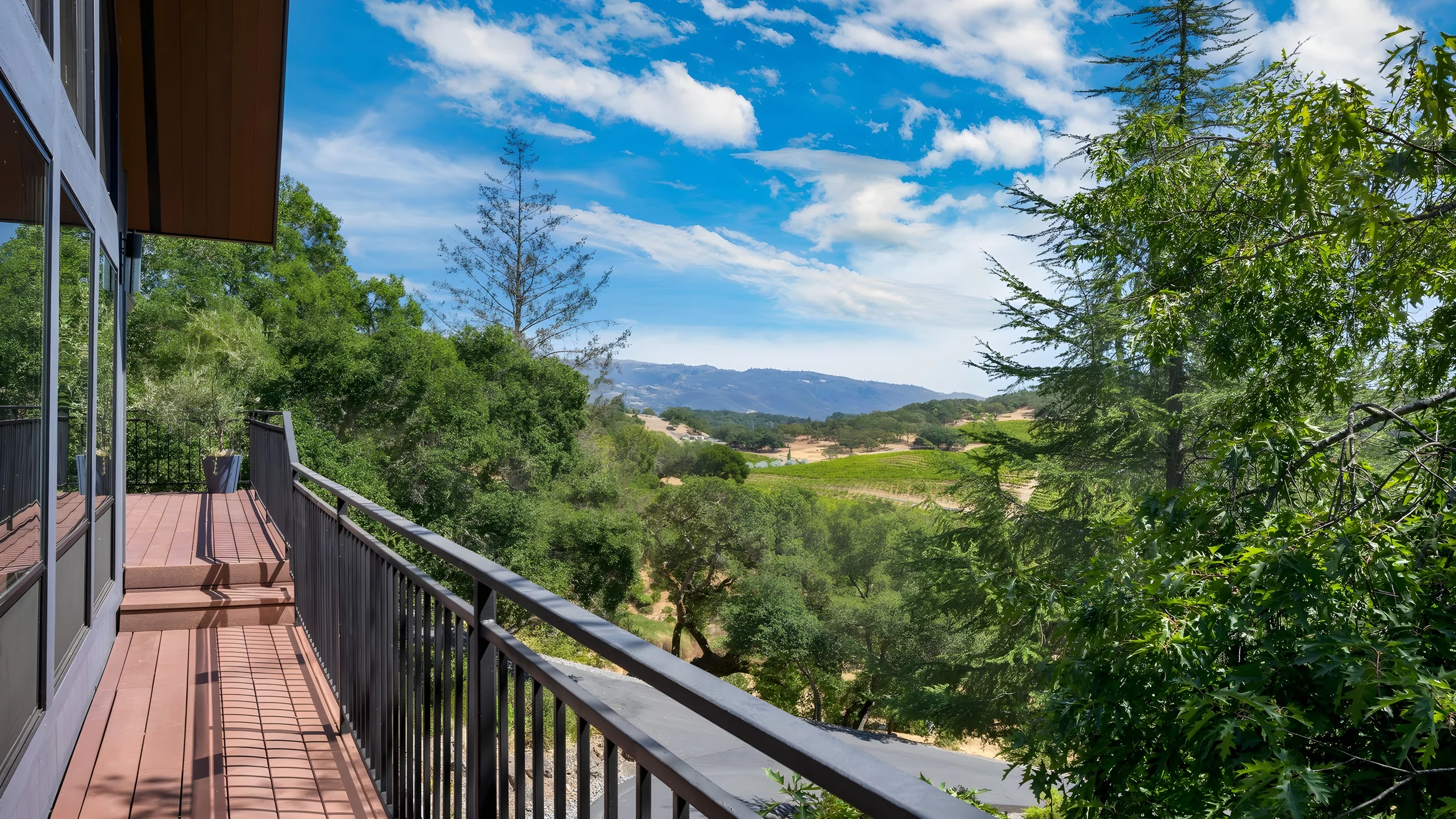 Wander Kenwood Vineyards #31