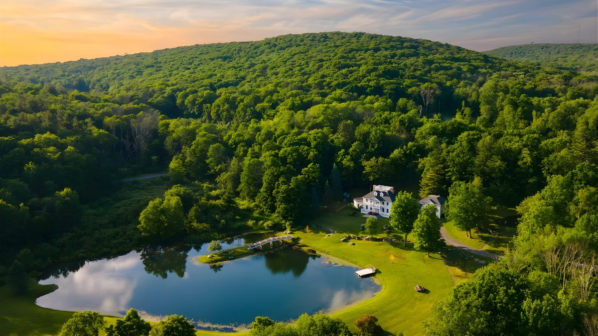 Wander Austerlitz Woods