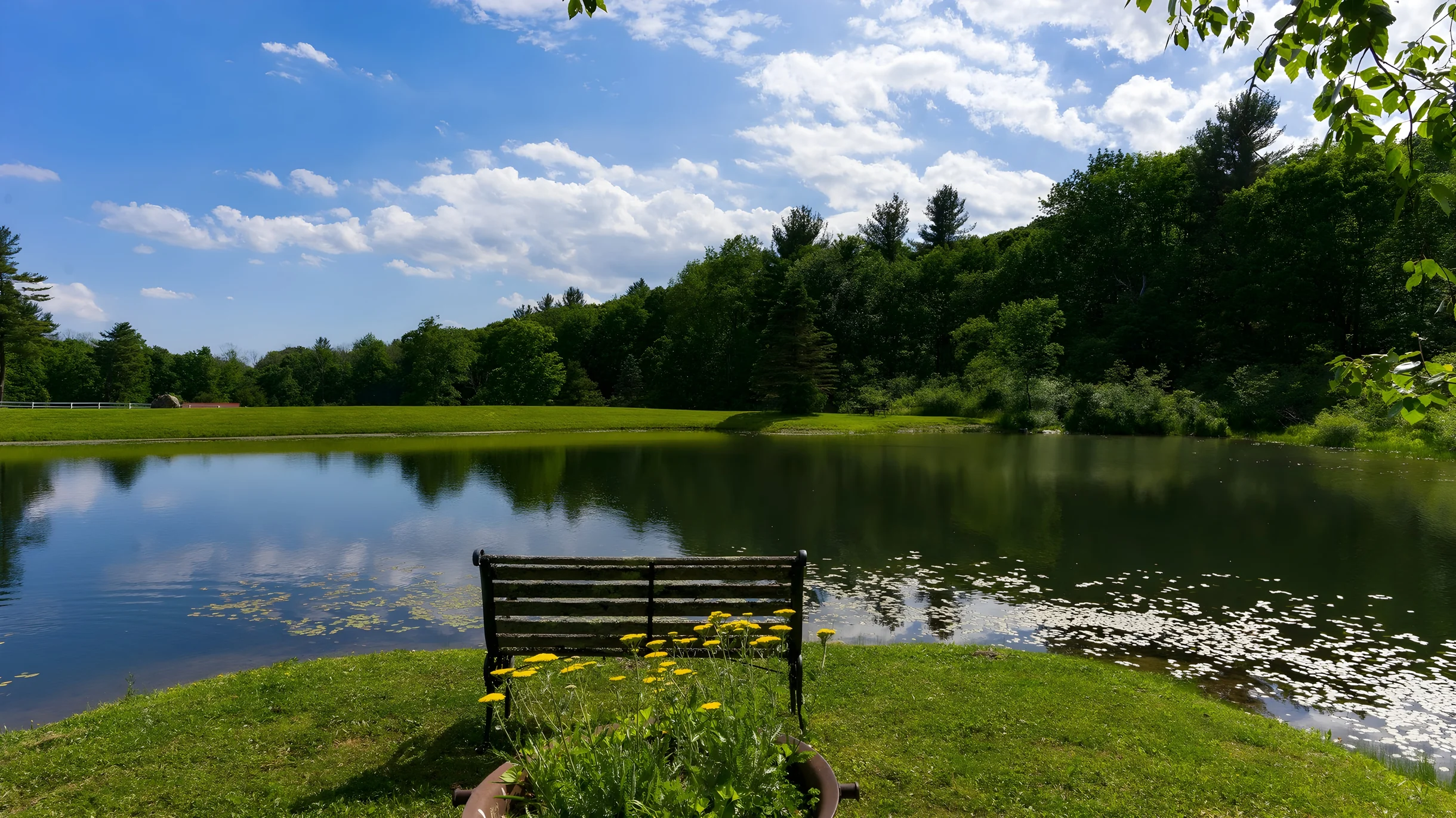 Wander Austerlitz Woods #71