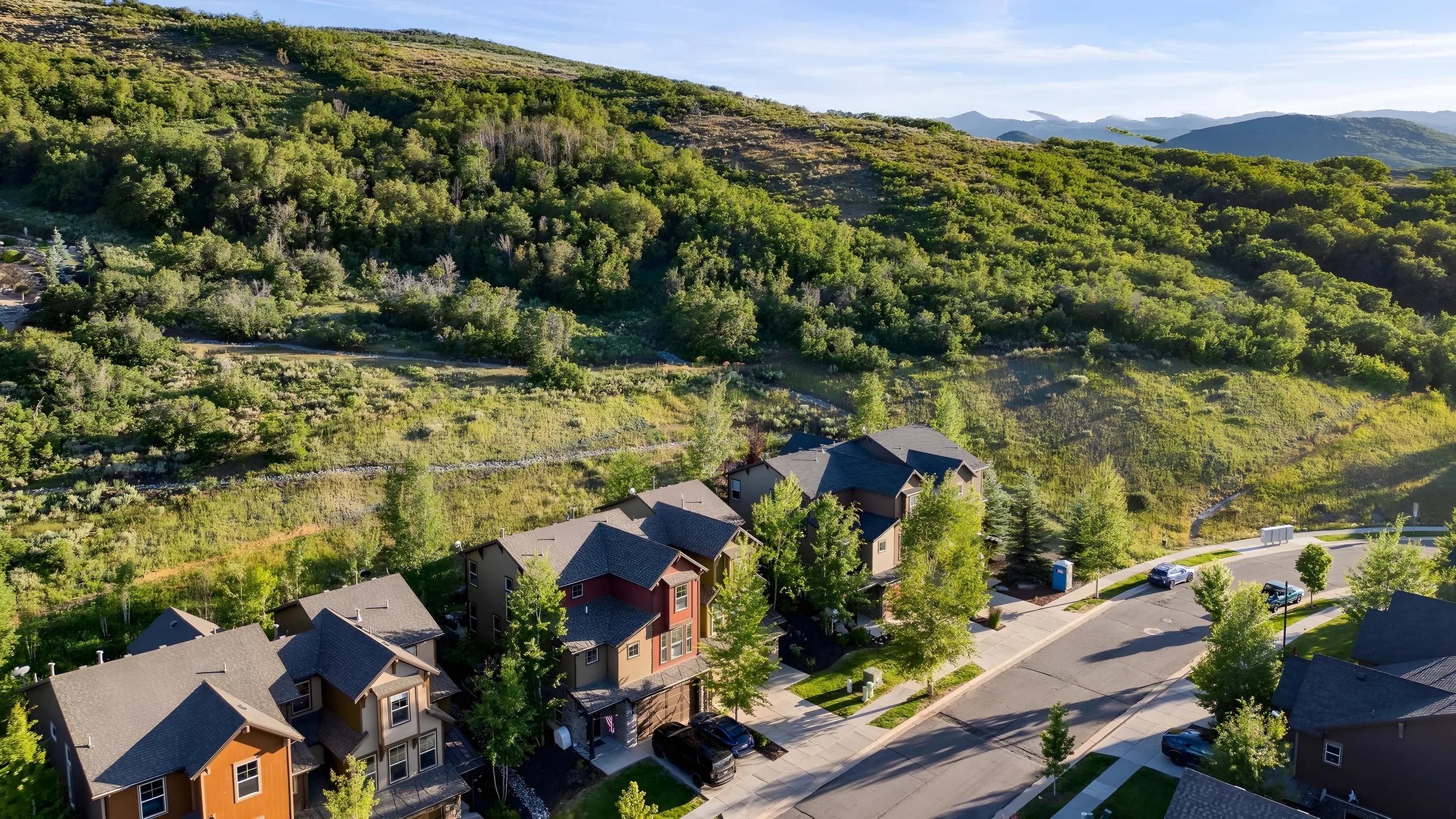 Wander Heber Pines #41