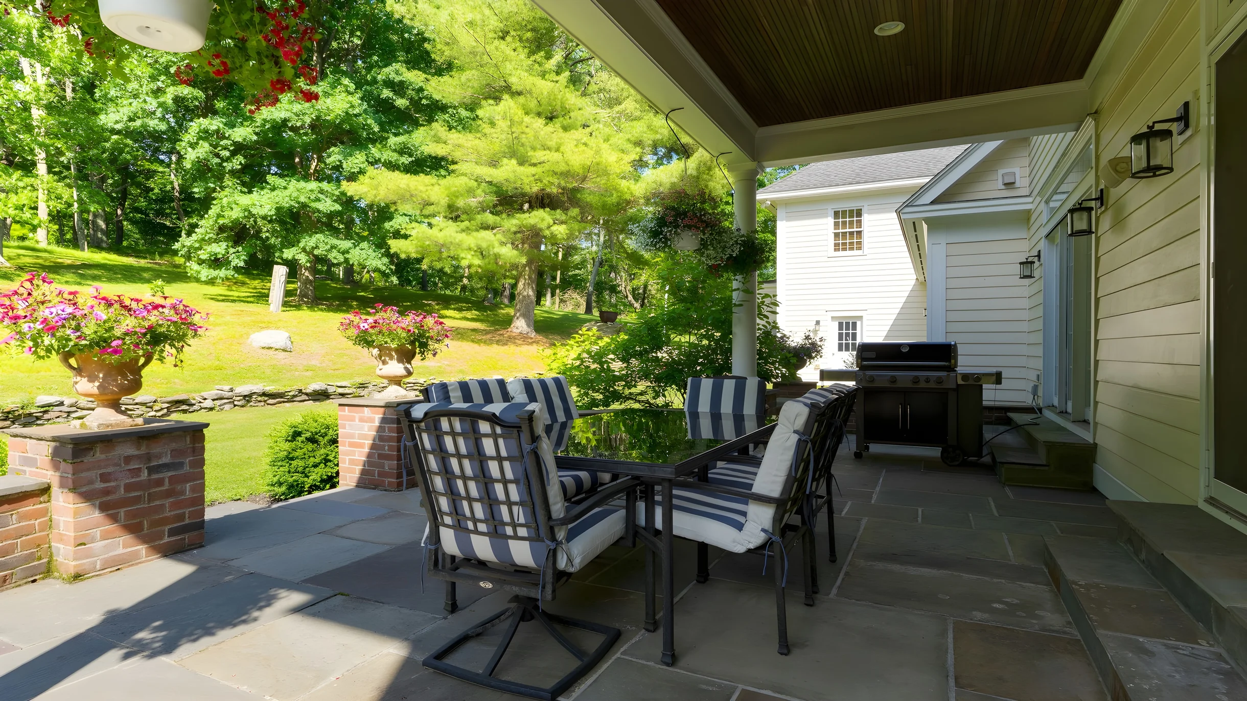 Wander Austerlitz Woods #41