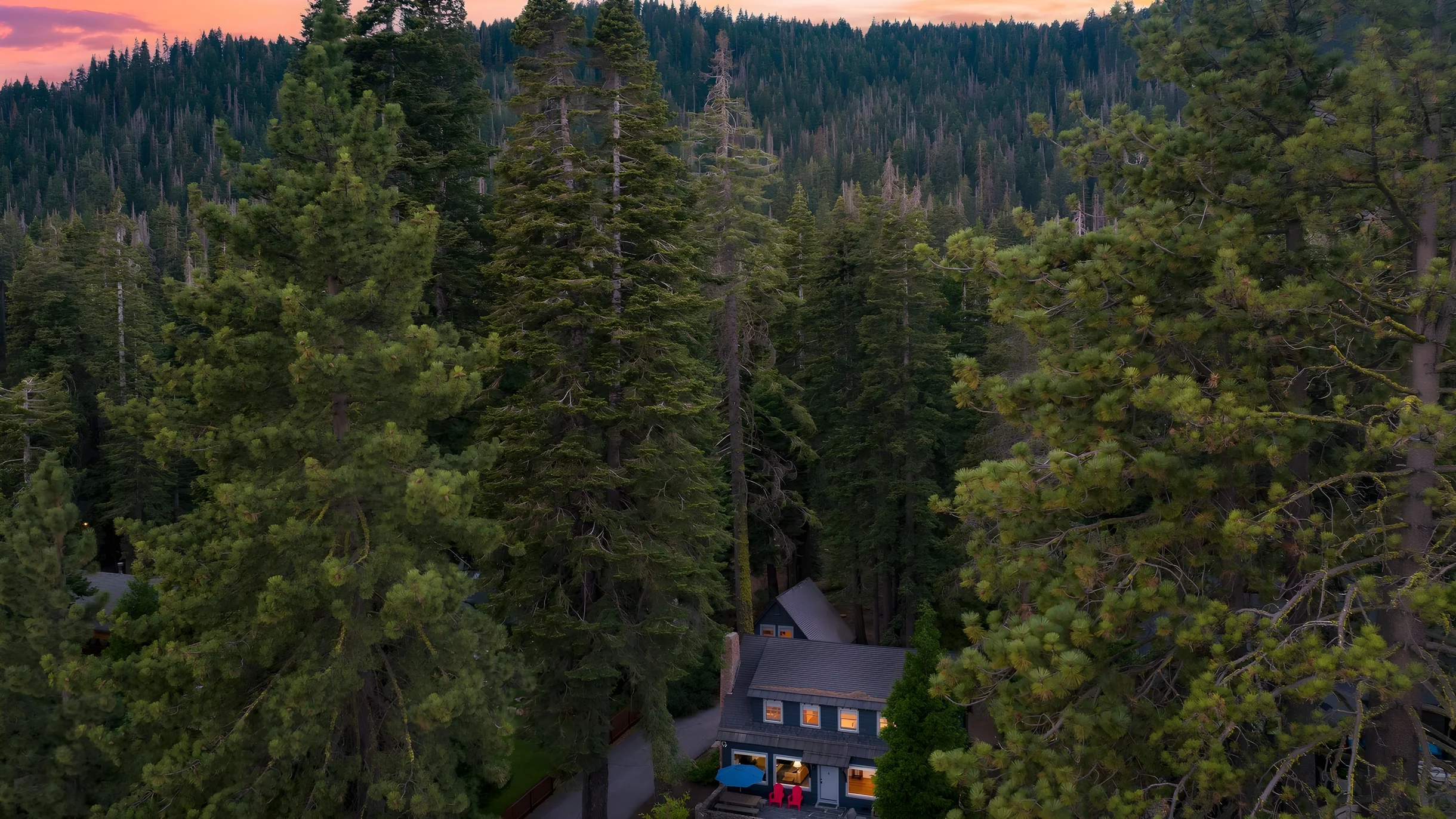 Wander Homewood Pines #40