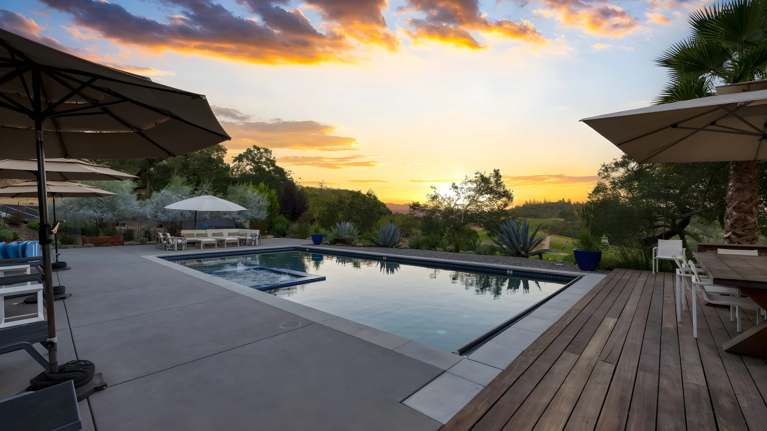 Wander Kenwood Vineyards #6